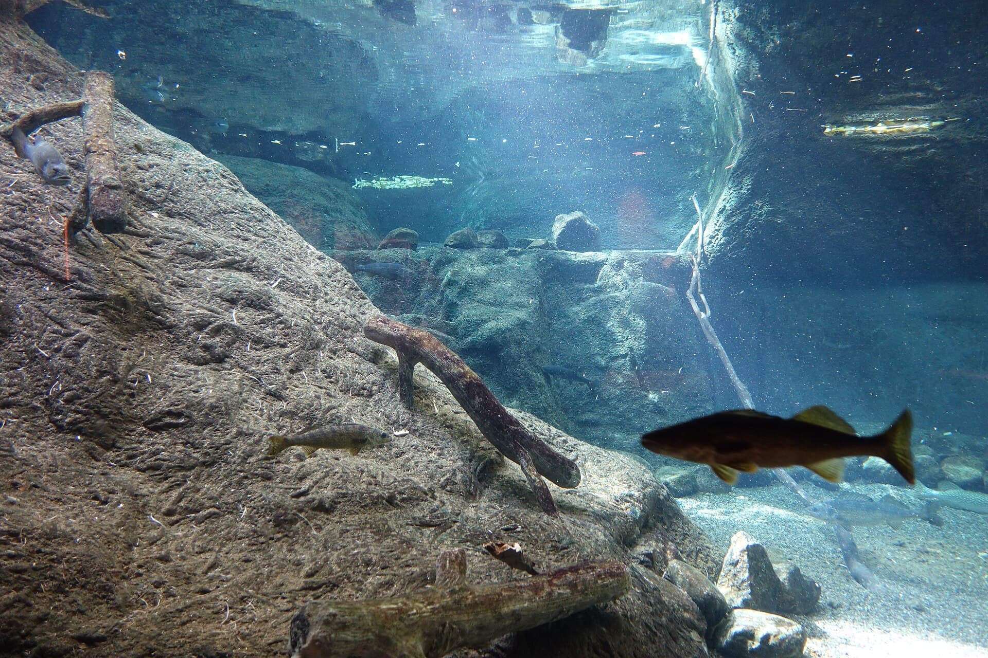 Biodôme