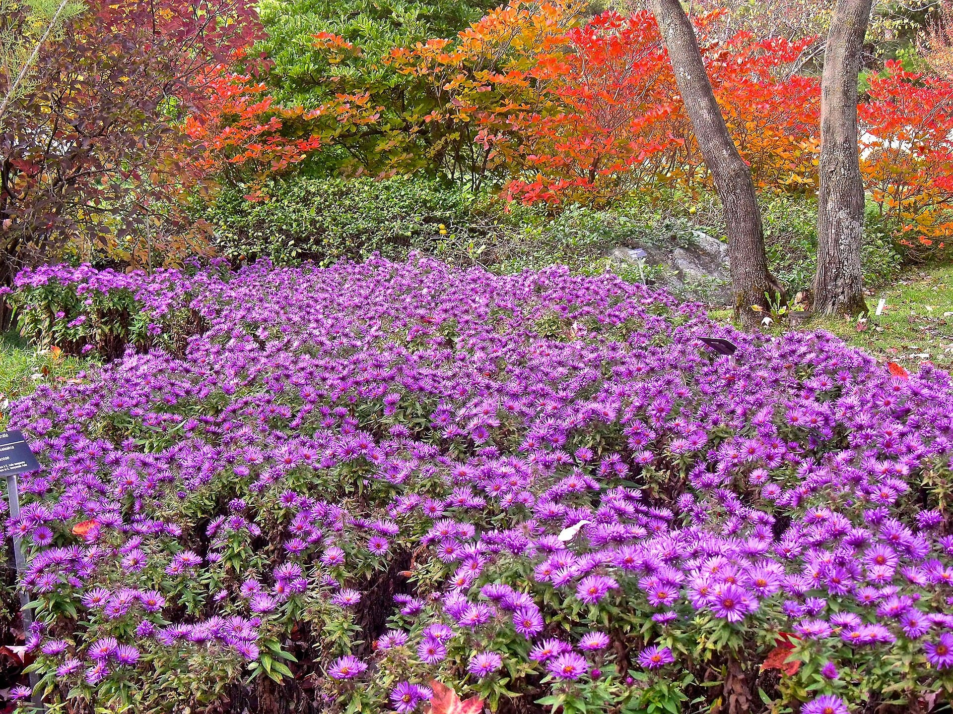 Botanical Garden
