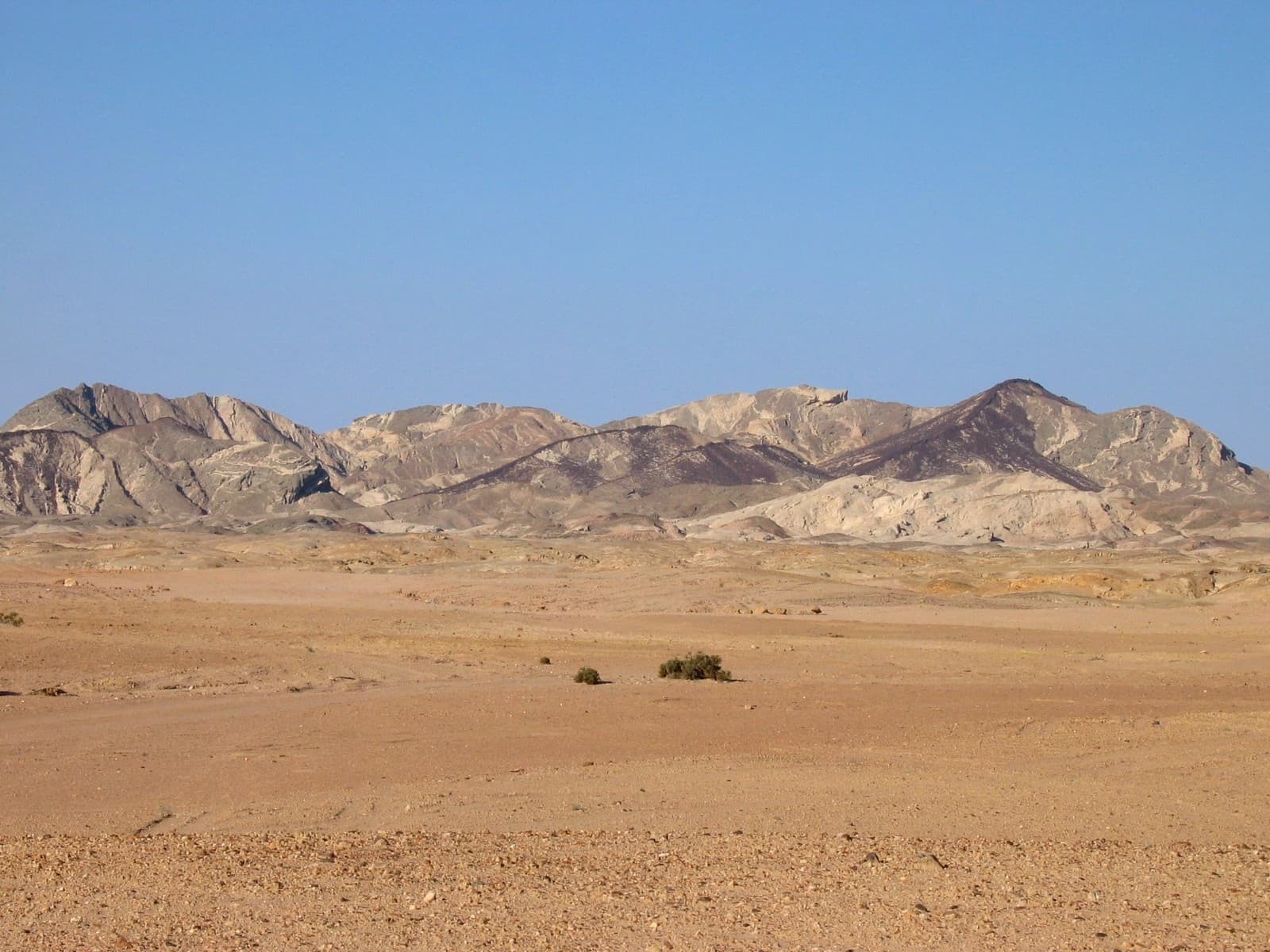 Moon Landscape and welwitschia plants