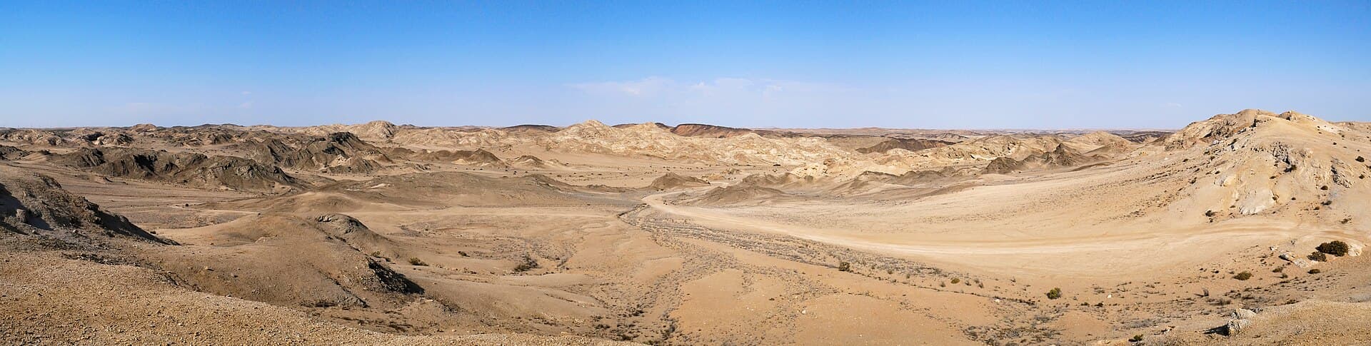 Moon Landscape and welwitschia plants