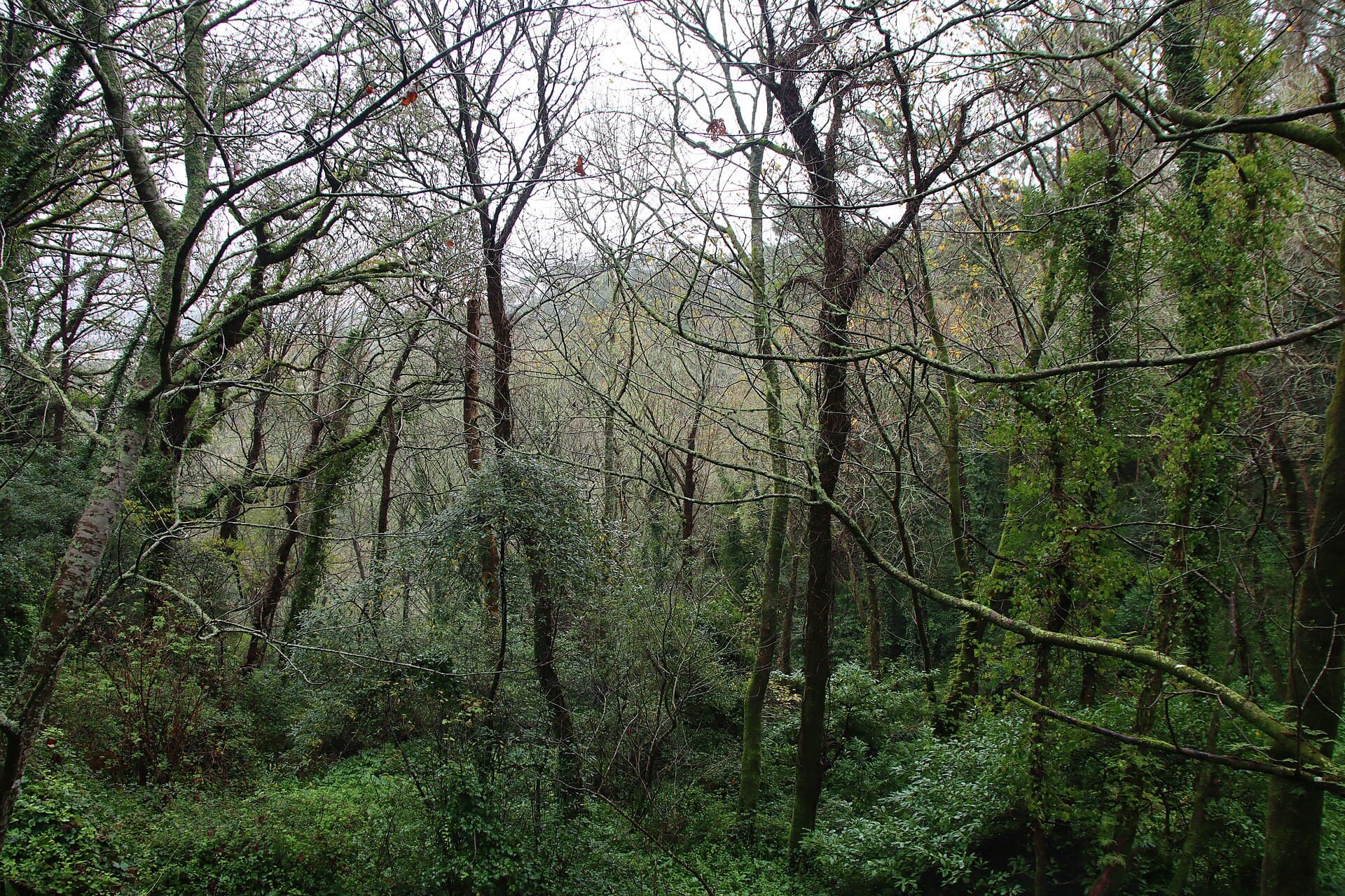 The Moorish Castle, Sintra
