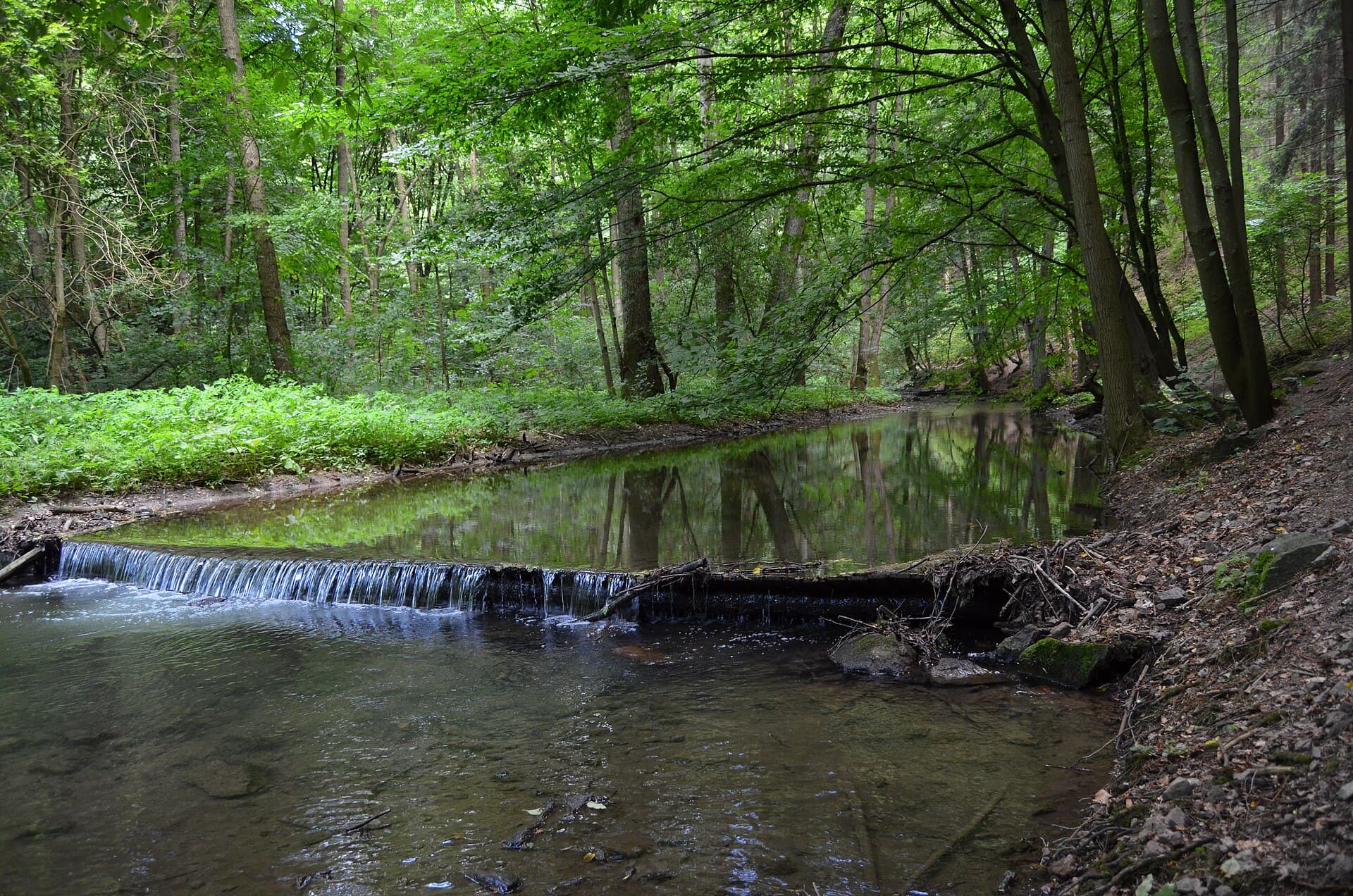 The Moravian Karst, Brno