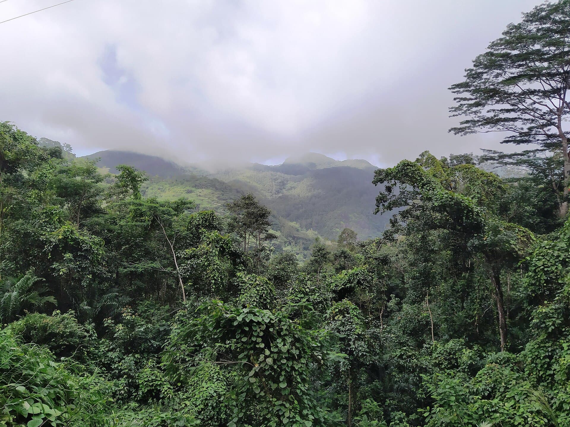 Morne Seychellois National Park