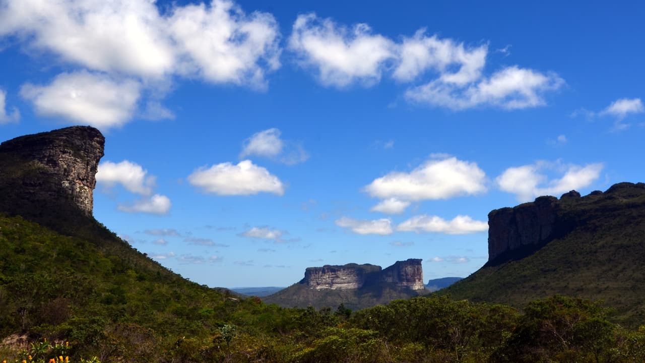 Morro do Camelo, Palmeiras