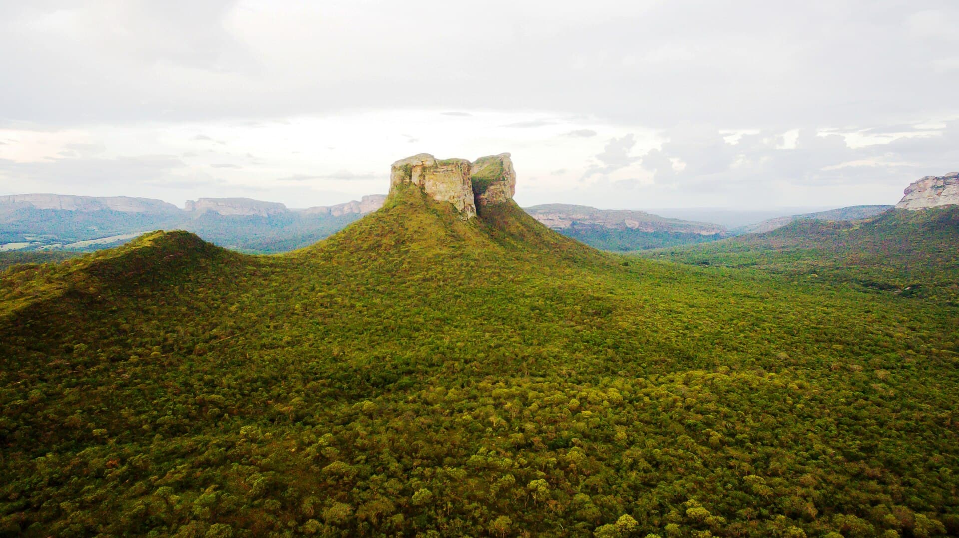 Morro do Camelo, Palmeiras