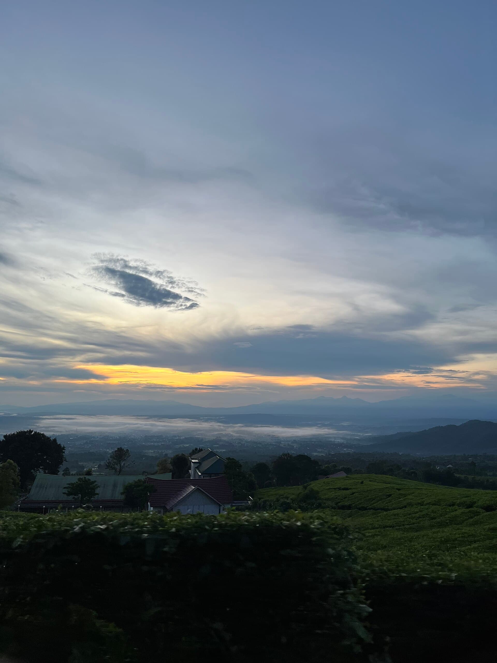Tea gardens on Mount Dempo, Pagar Alam
