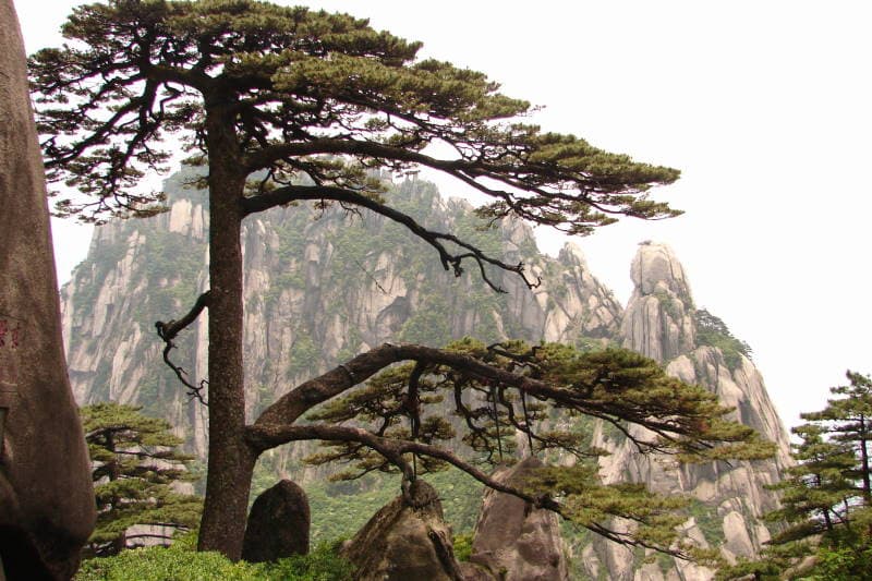 جبل هوانغشان (الجبل الأصفر)