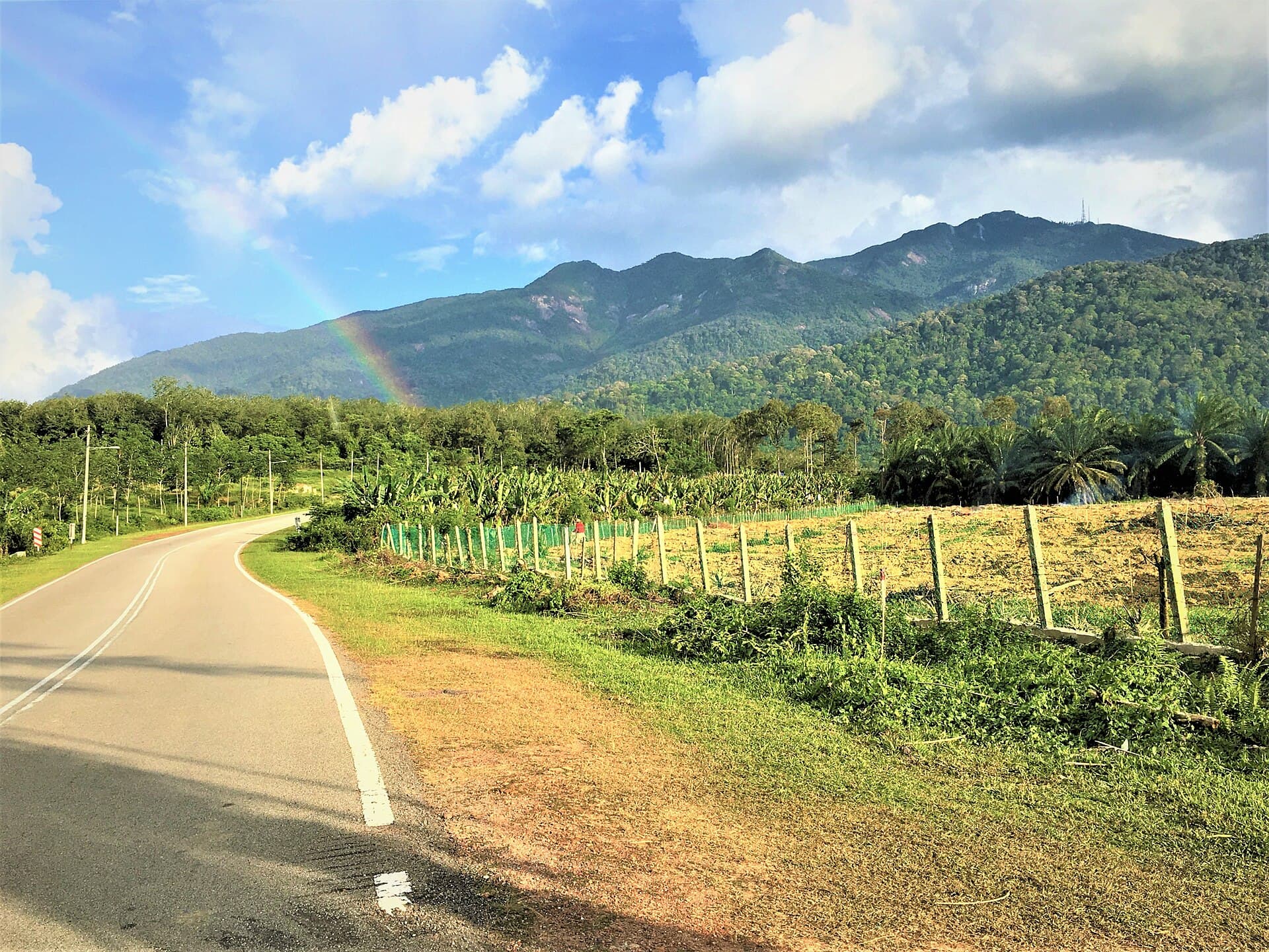 Mount Ledang