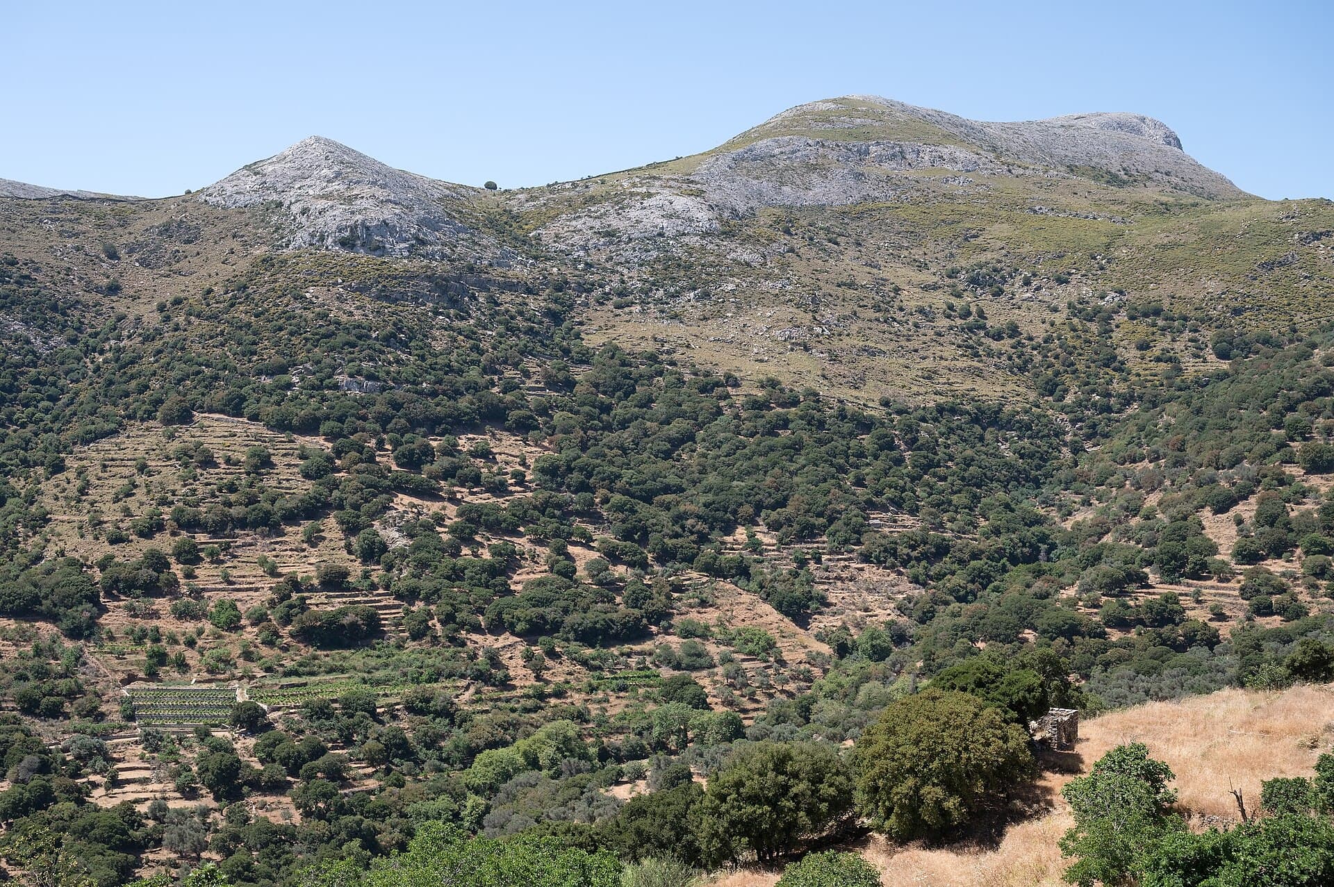 Mount Zas, Naxos