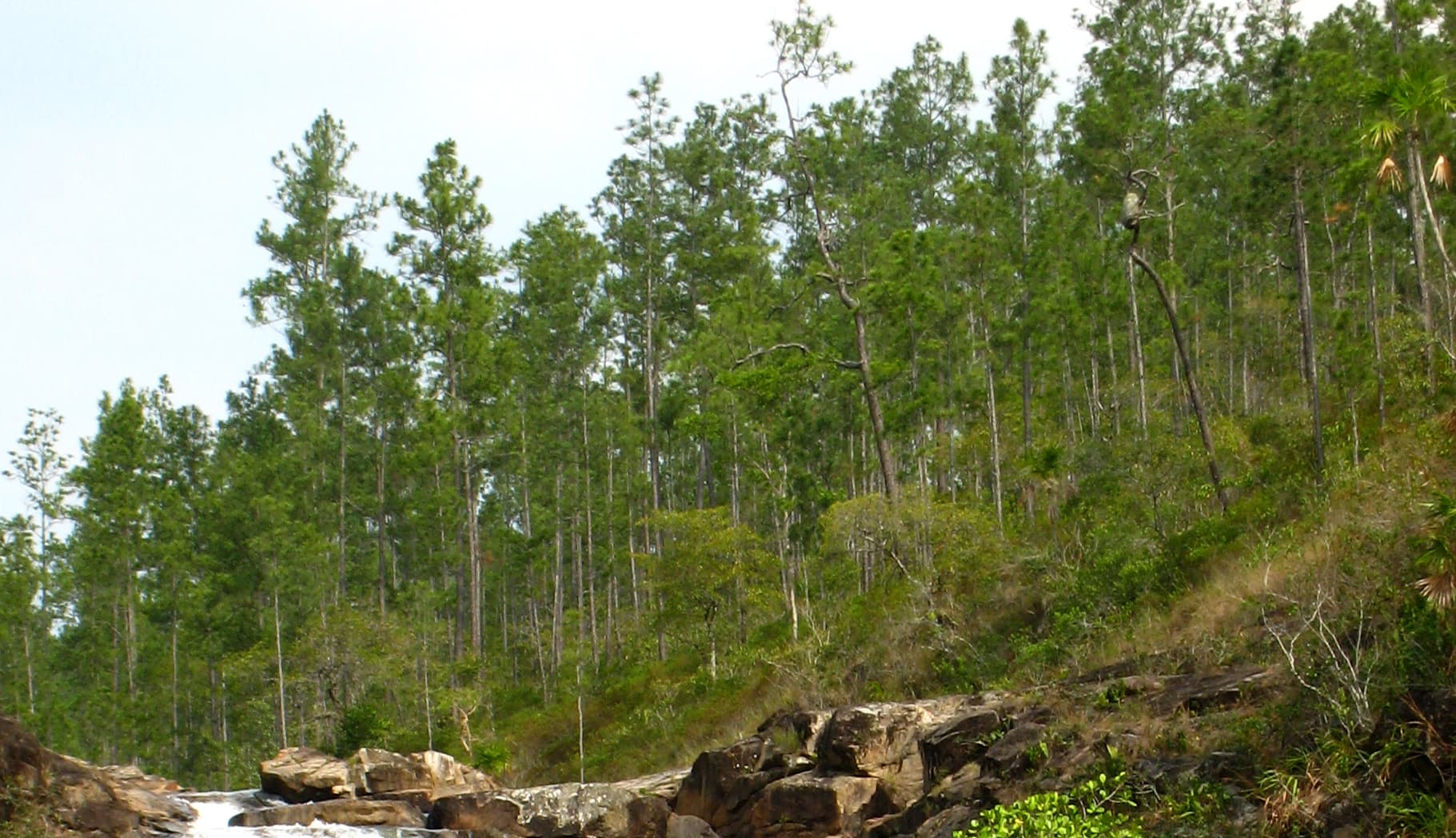 Big Rock Falls in Mountain Pine Ridge