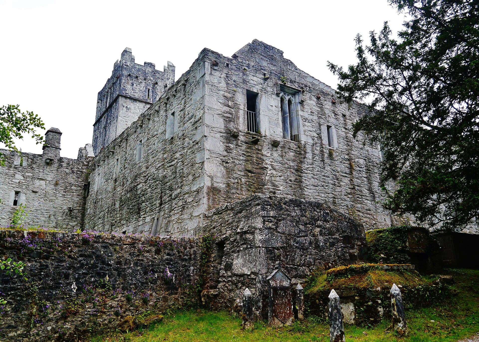 Muckross Abbey