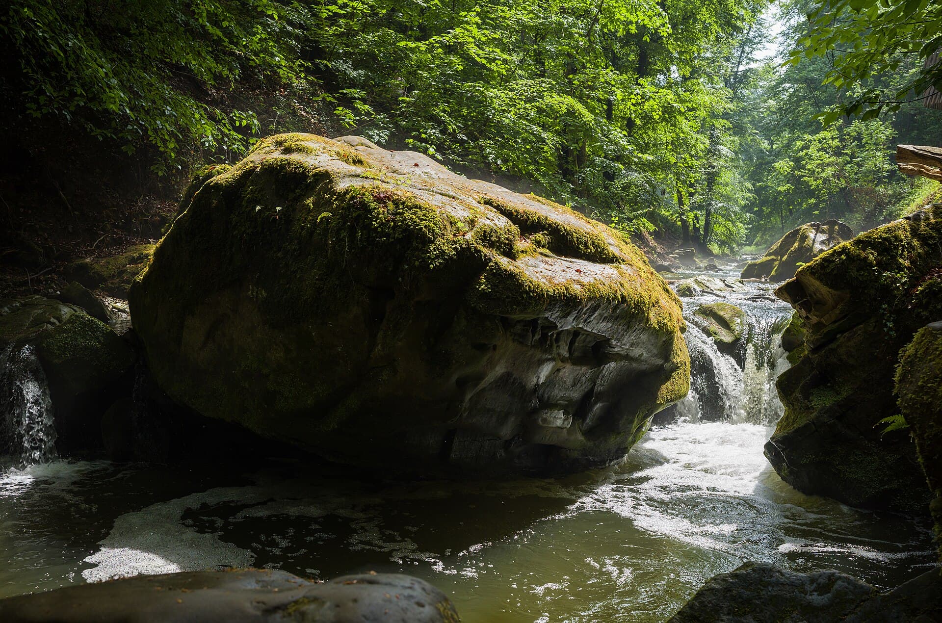 The trail between moss-covered sandstone blocks