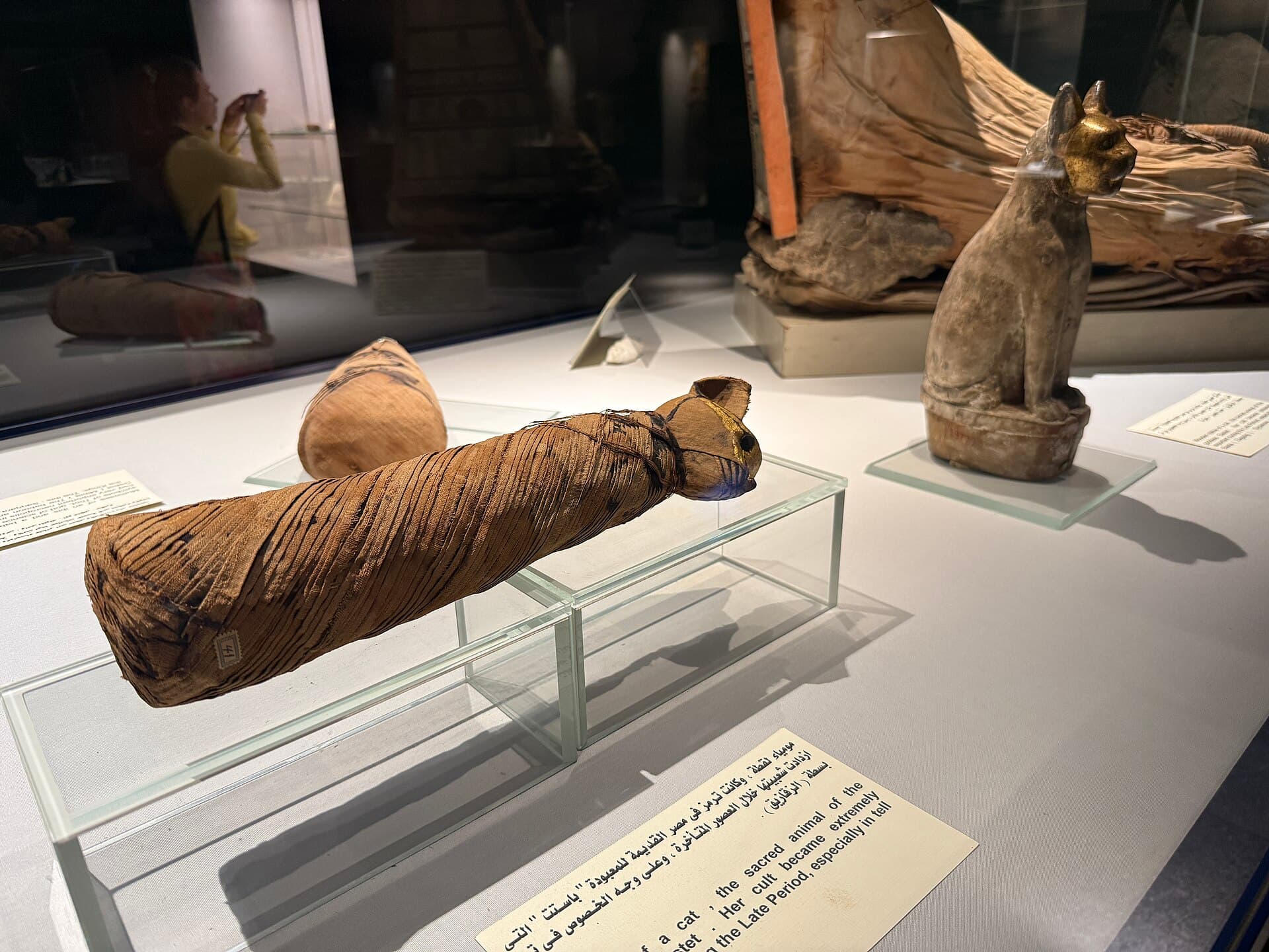 Mummification Museum
