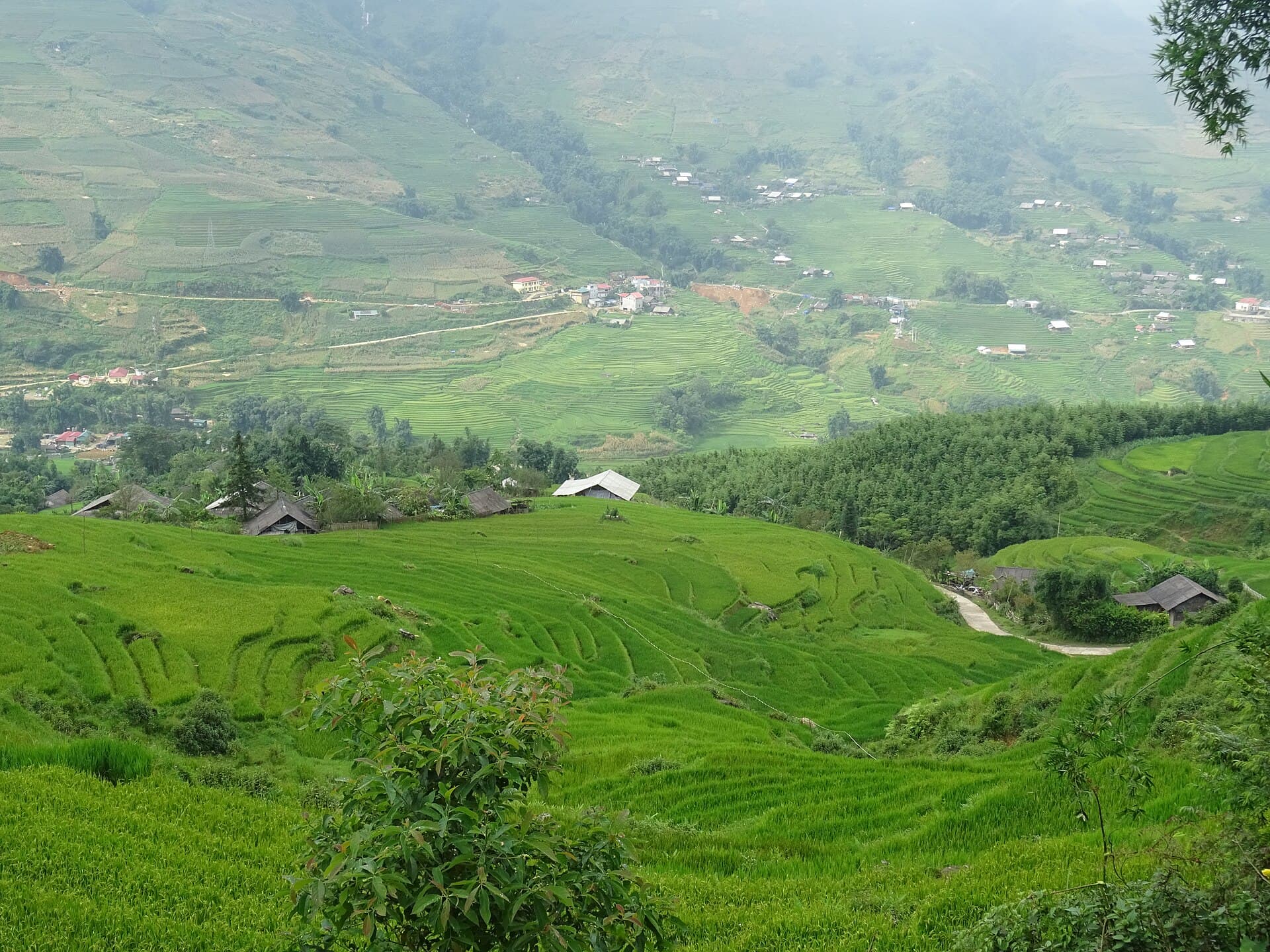 Muong Hoa Valley