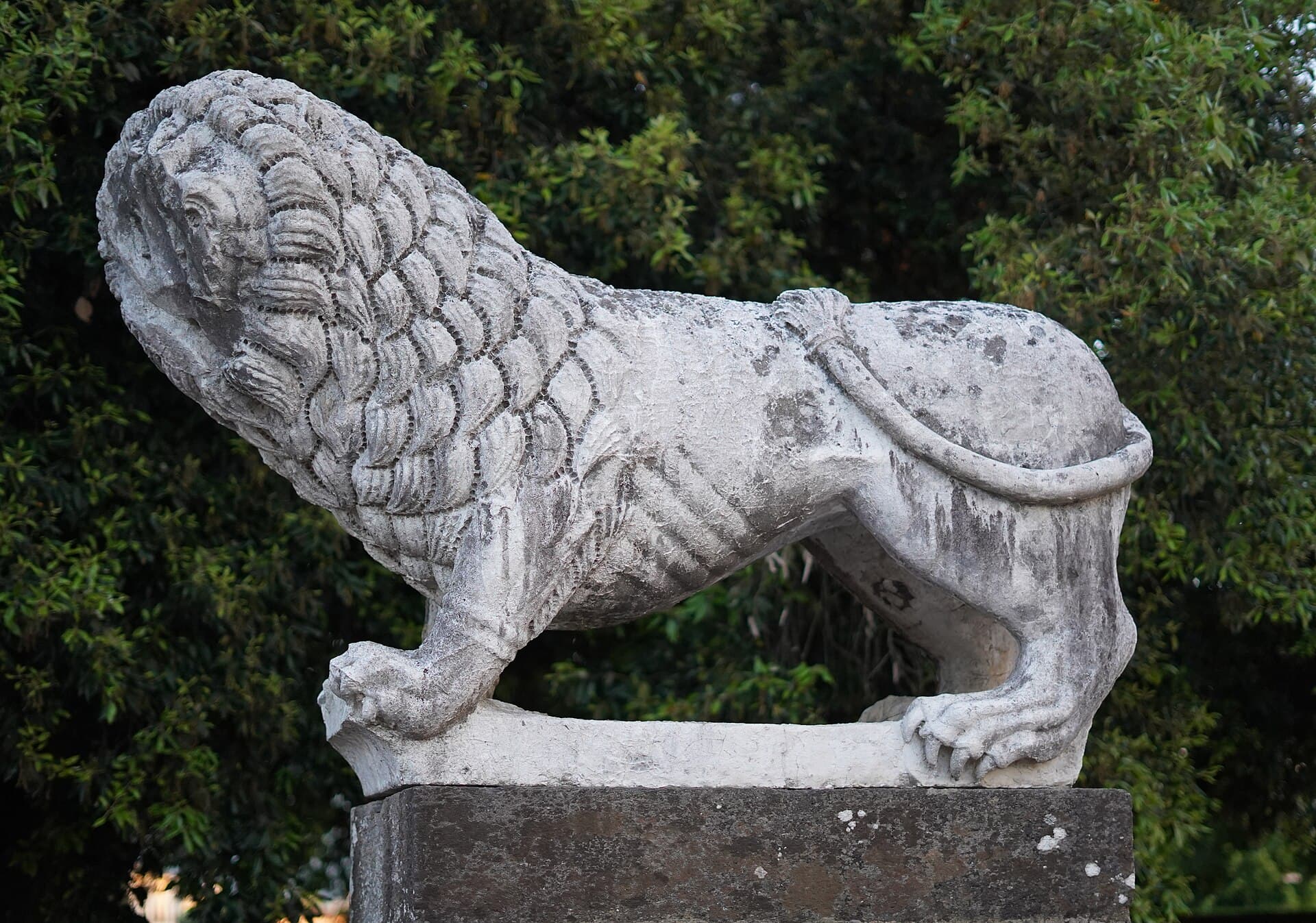 The Walls of Lucca, Lucca