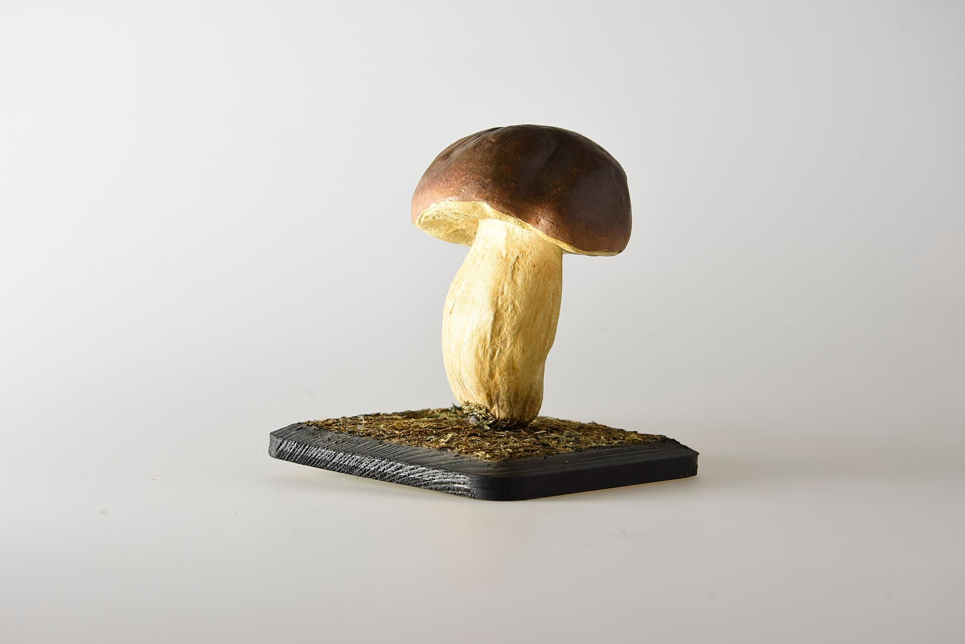 The MUSE Science Museum, Trento