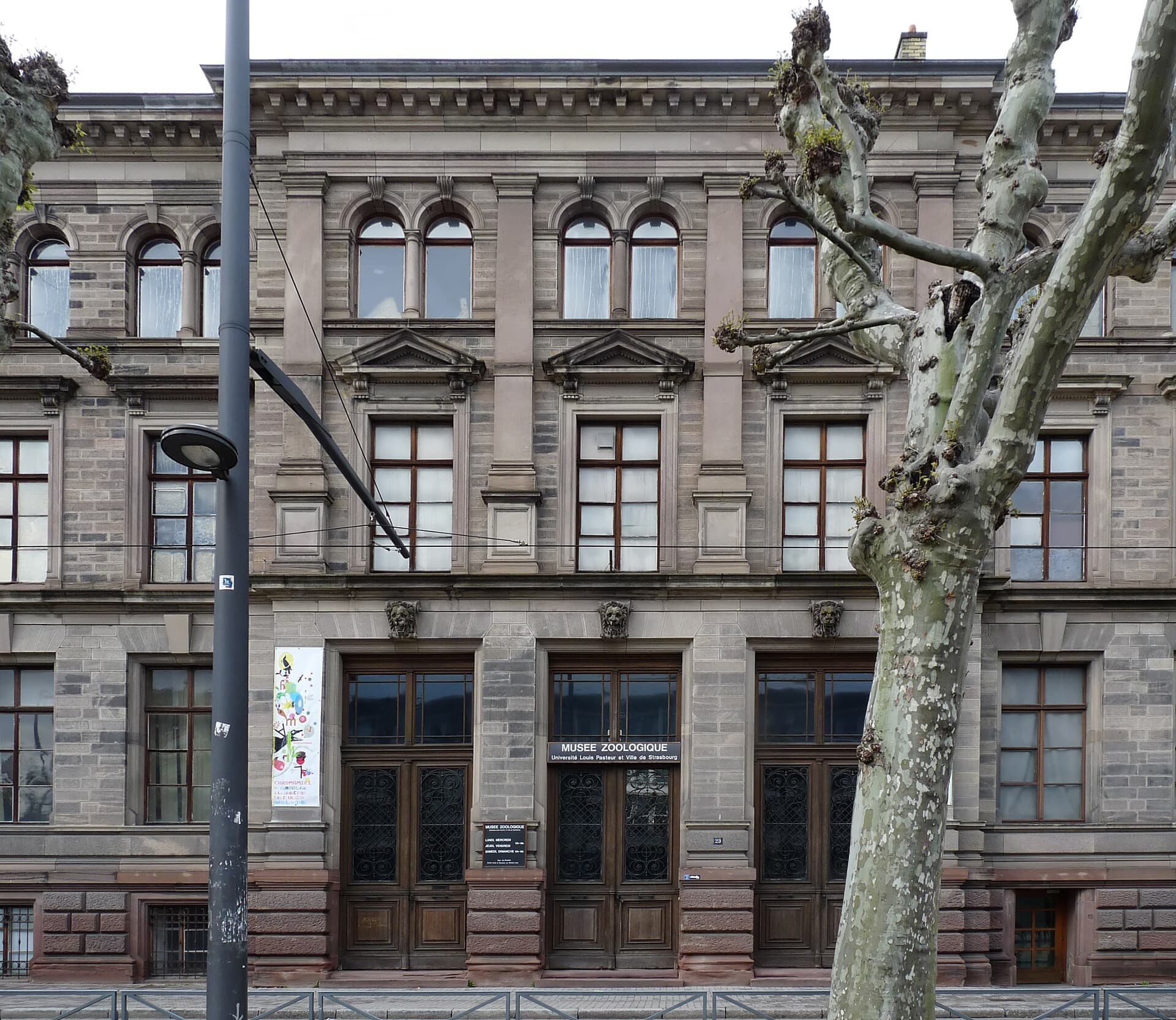 The Zoological Museum of Strasbourg