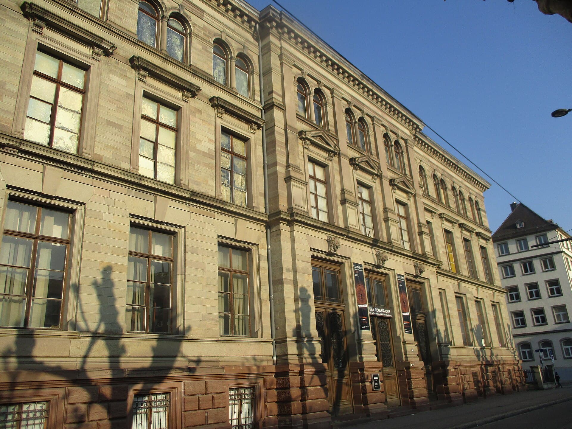 The Zoological Museum of Strasbourg, Strasbourg
