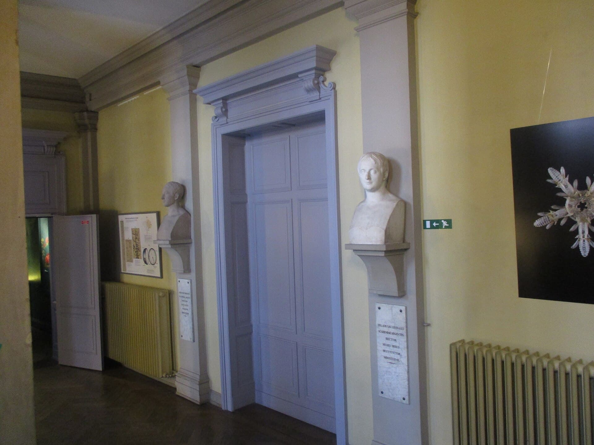 The Zoological Museum of Strasbourg, Strasbourg