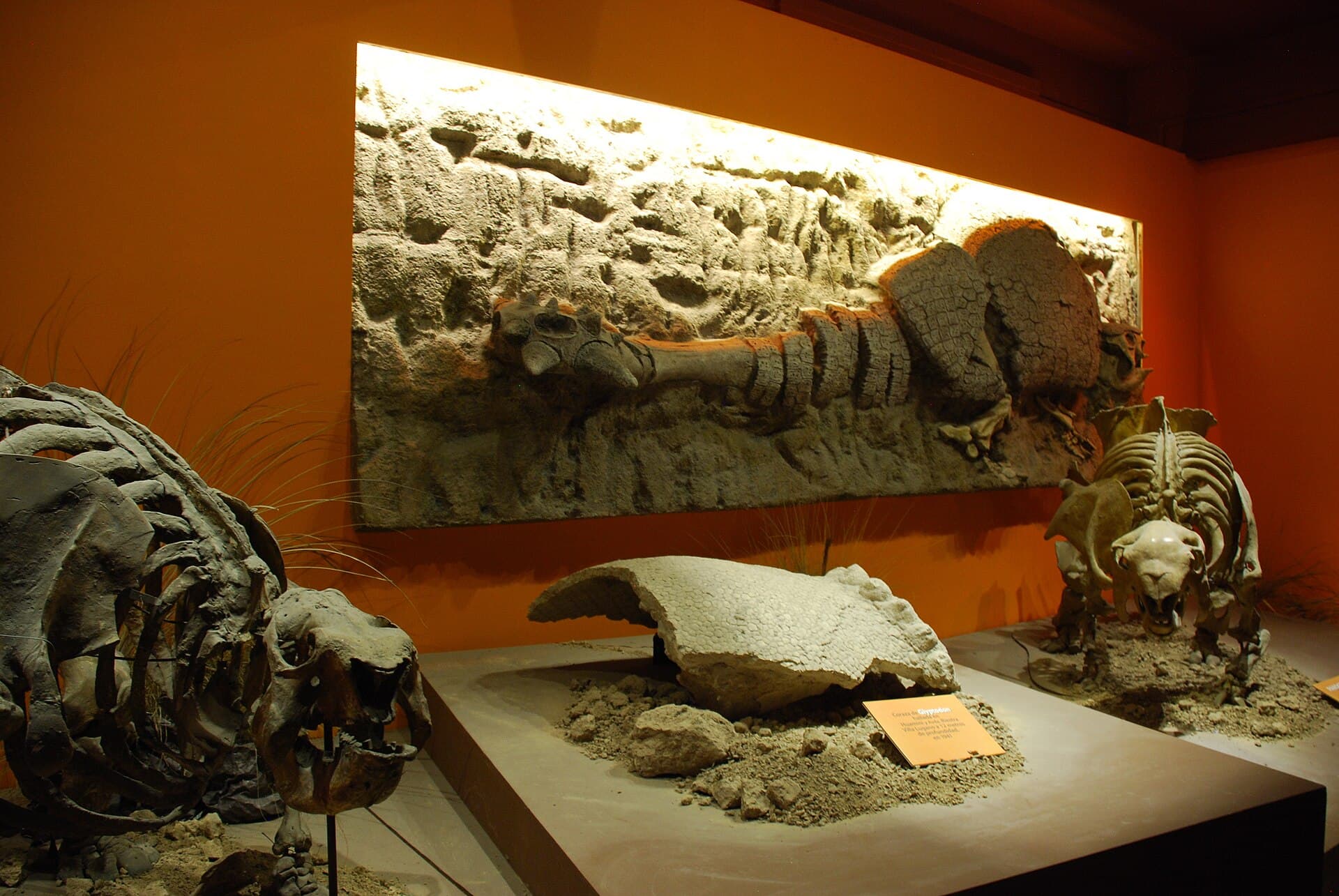 Argentine Museum of Natural Sciences (Bernardino Rivadavia), Buenos Aires