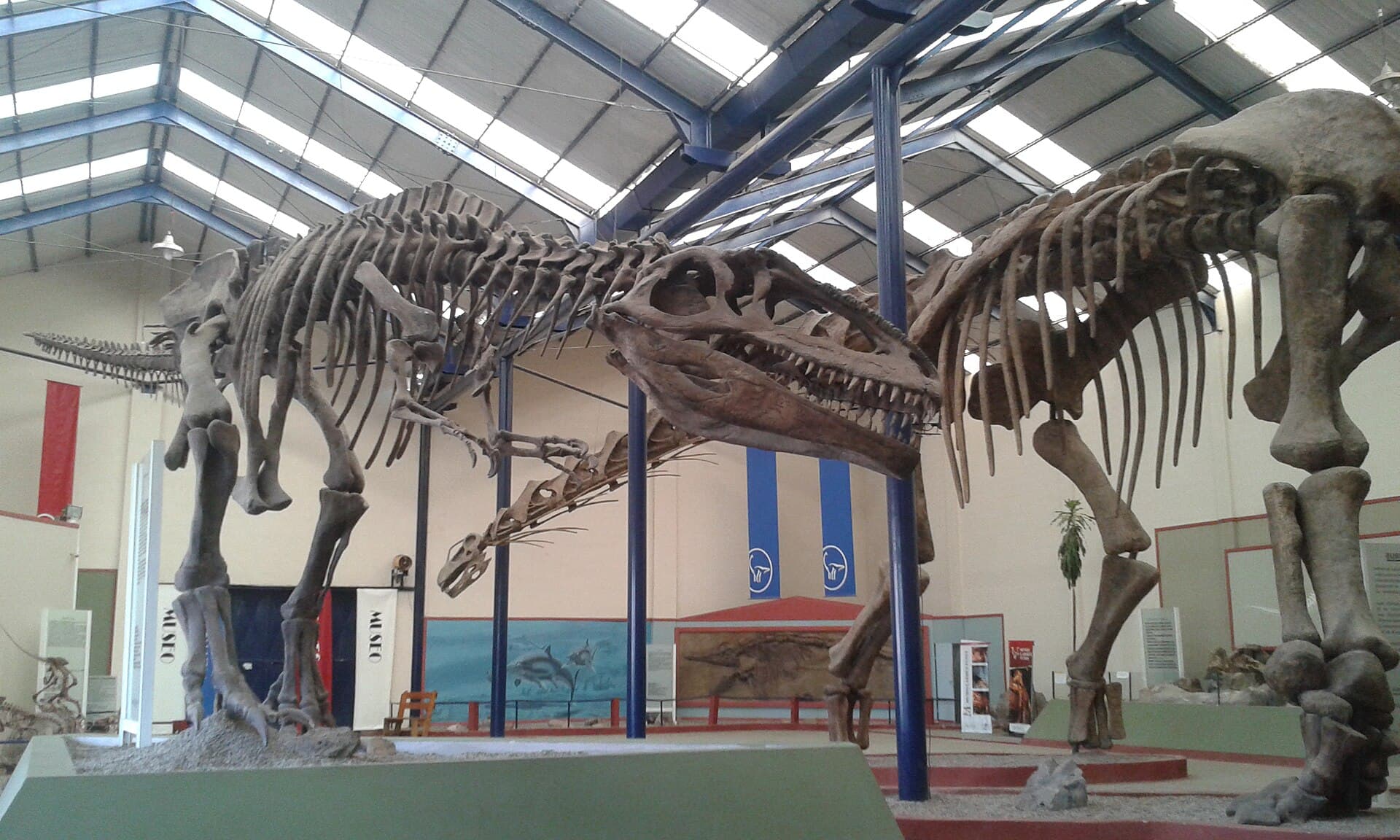 Carmen Funes Museum (Argentinosaurus), Neuquén