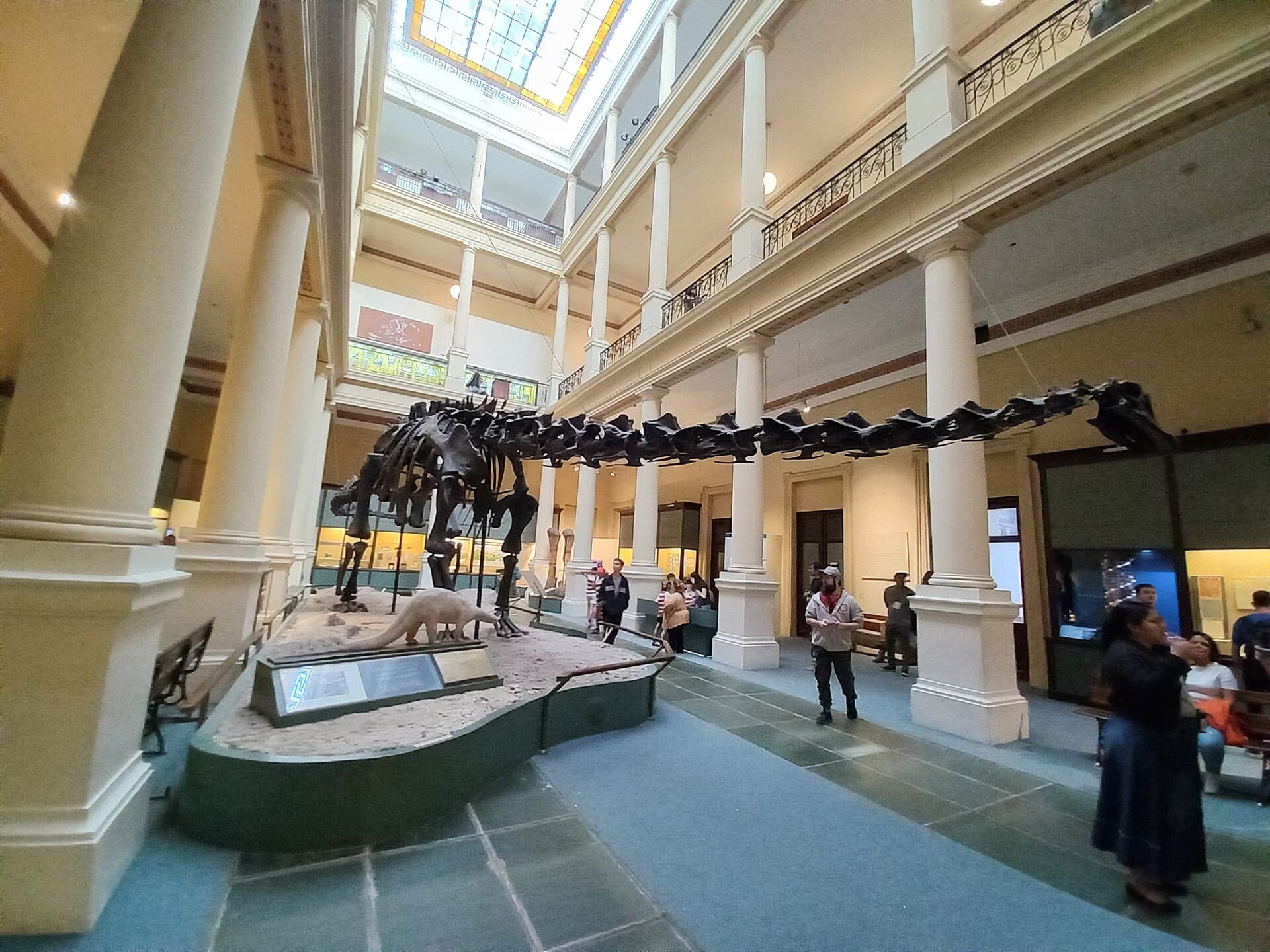 La Plata Museum of Natural History, Buenos Aires
