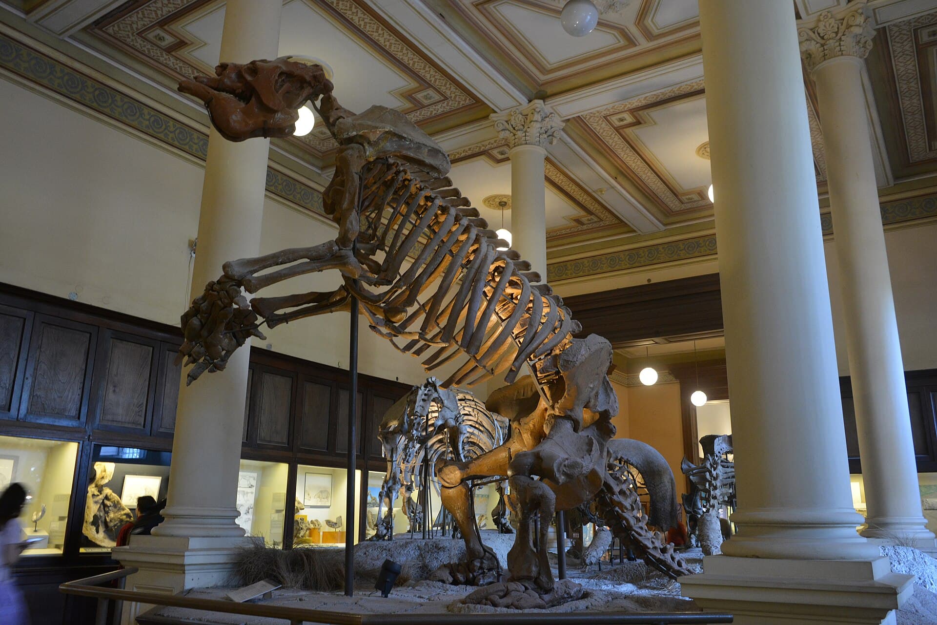 La Plata Museum of Natural History, Buenos Aires