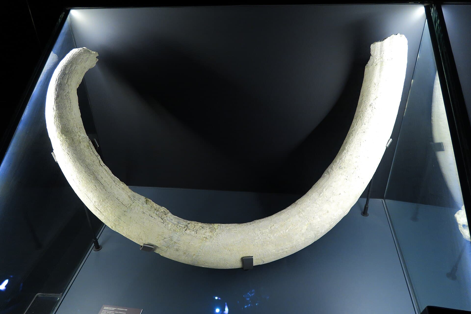 Museo de San Isidro, Madrid