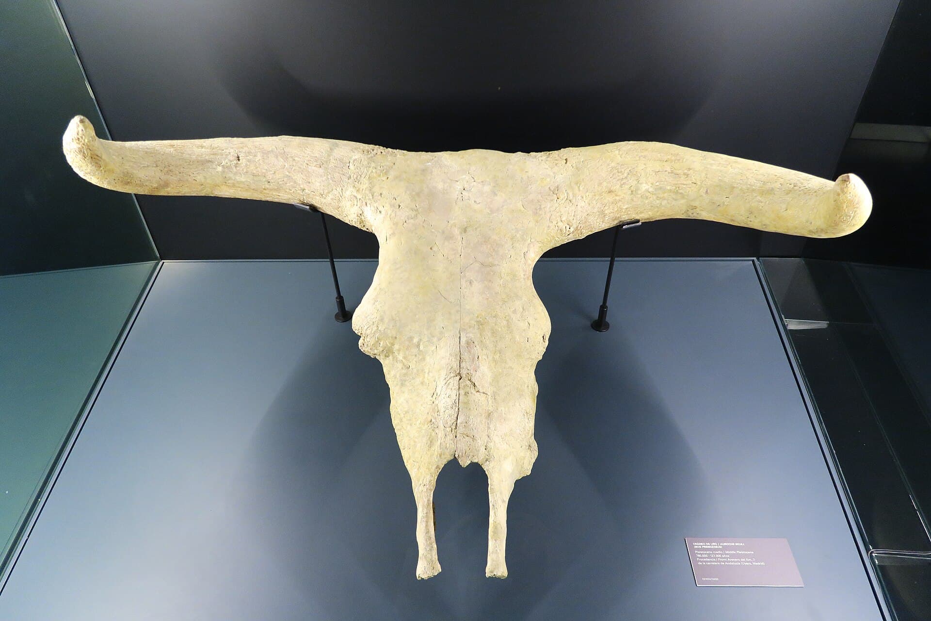 Museo de San Isidro, Madrid