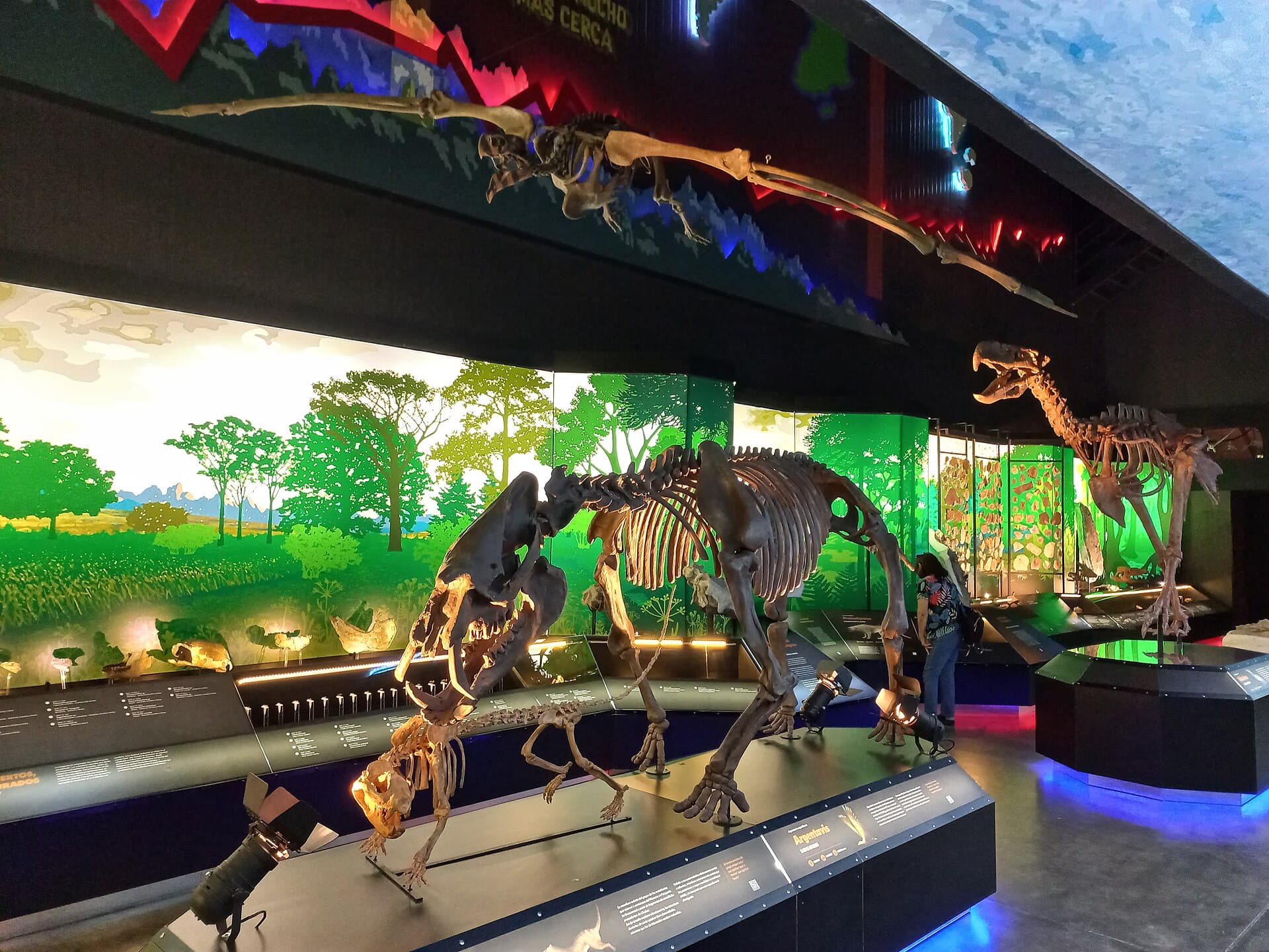 Egidio Feruglio Paleontology Museum (MEF), Puerto Madryn