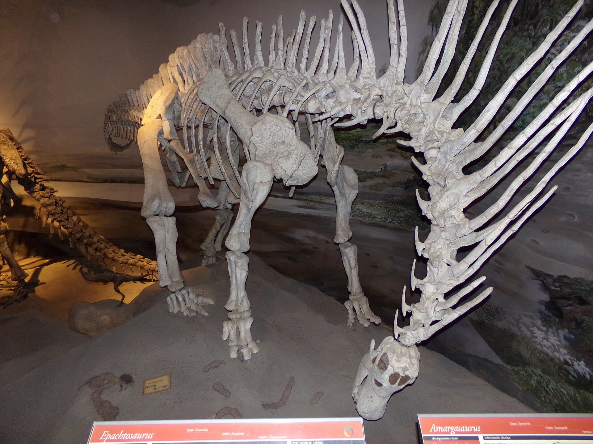 Egidio Feruglio Paleontology Museum (MEF), Puerto Madryn