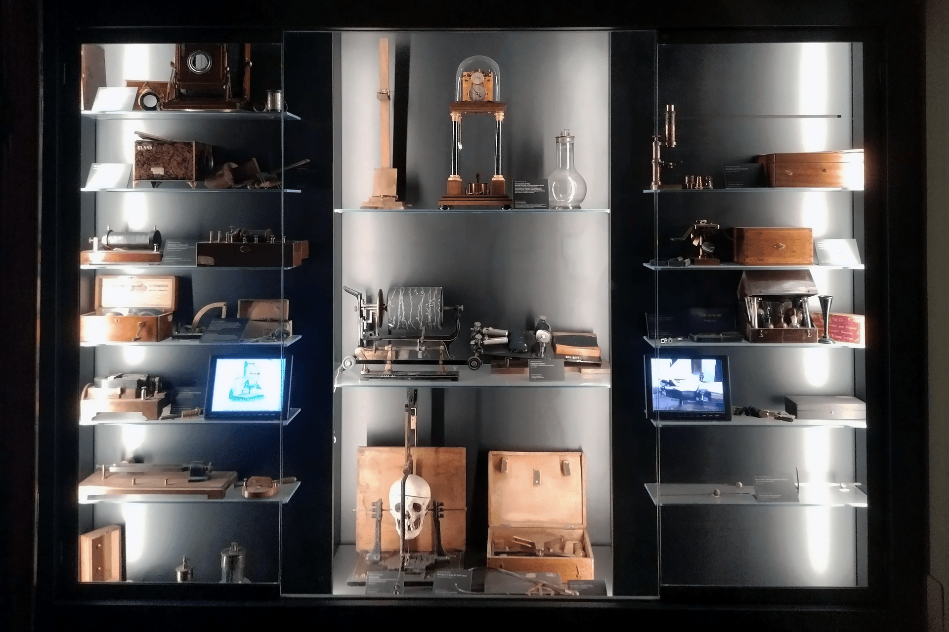 Cesare Lombroso Museum of Criminal Anthropology, Turin