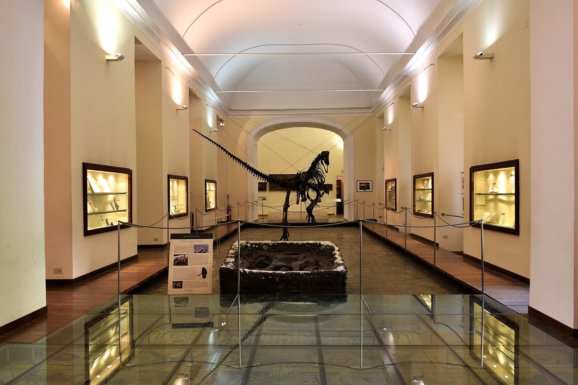 The Palaeontology Museum, Naples