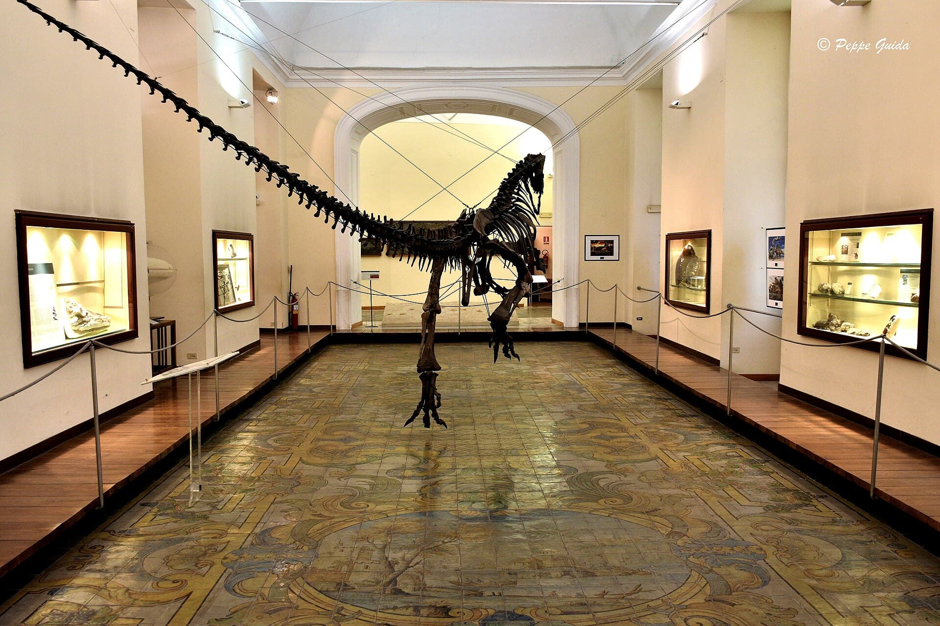 The Palaeontology Museum, Naples