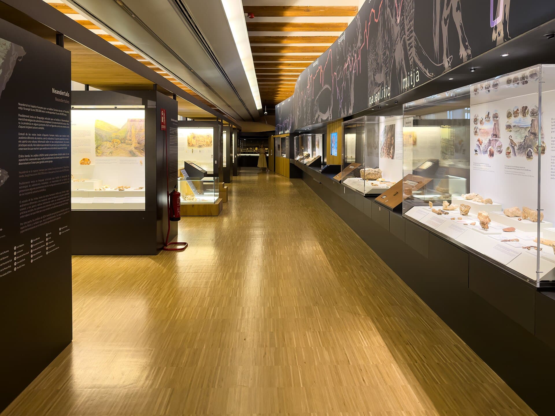 Museum of Prehistory of Valencia, Valencia