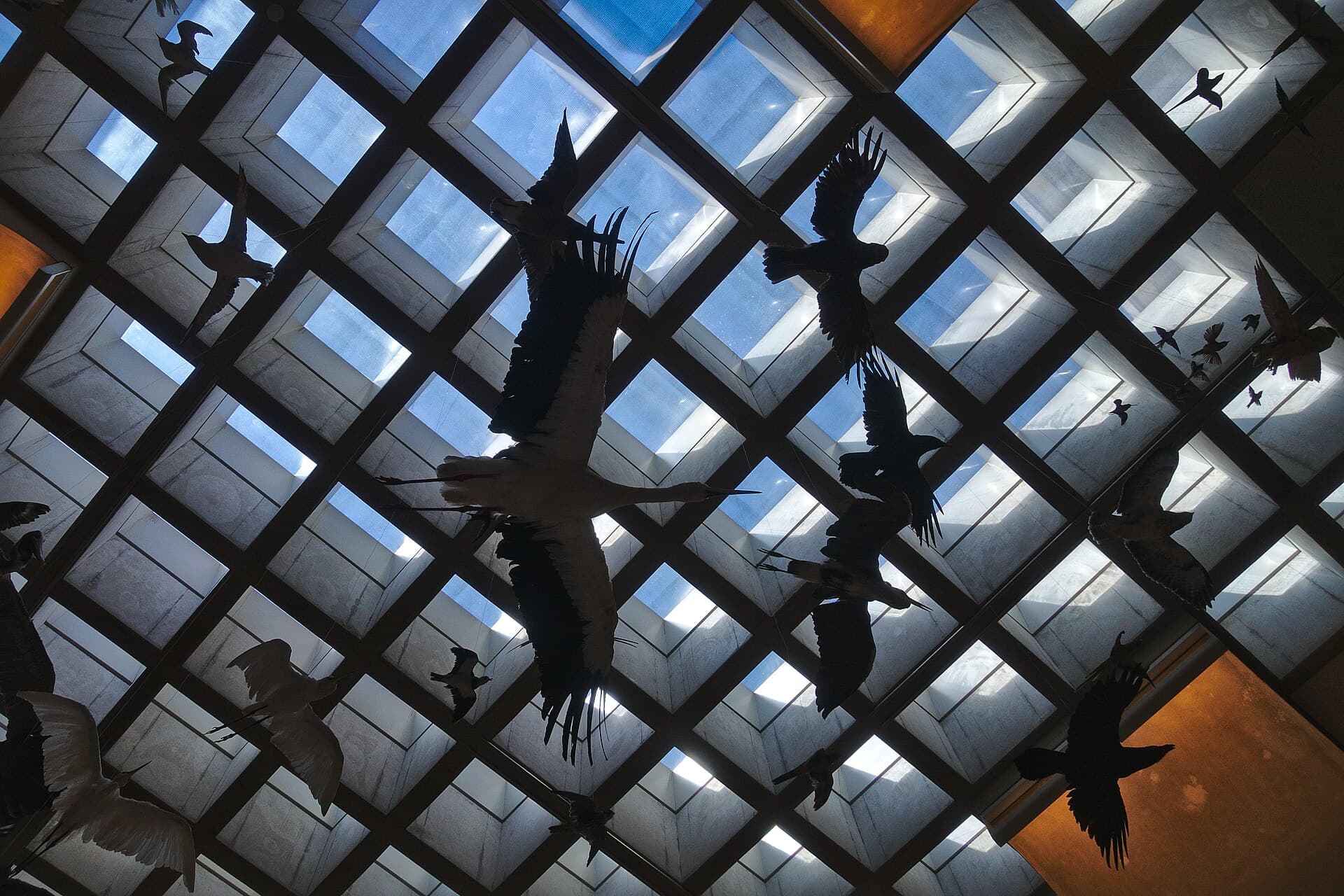 The Museon, The Hague