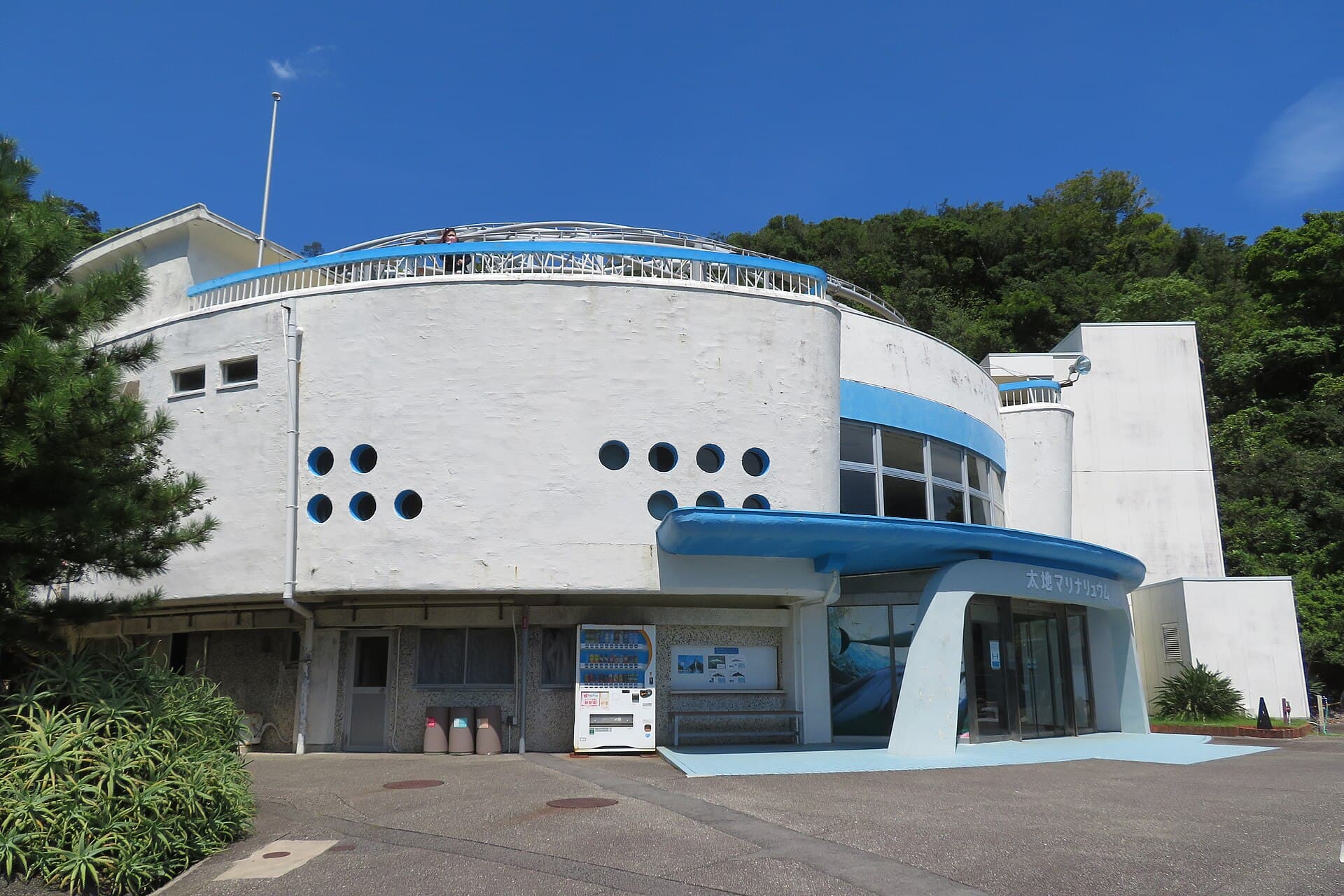 Madeira Whale Museum, Caniçal