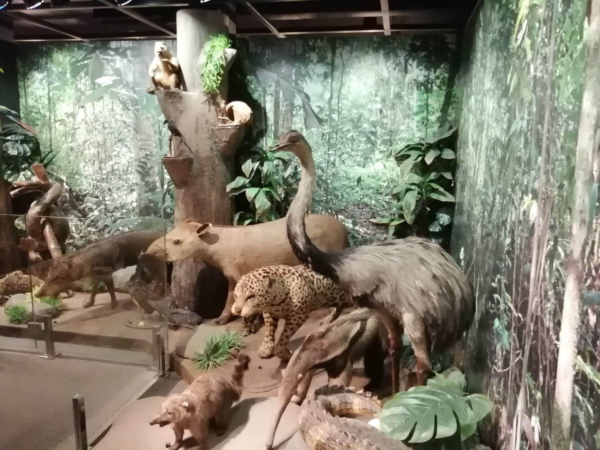 Museu Histórico da Imigração Japonesa, São Paulo