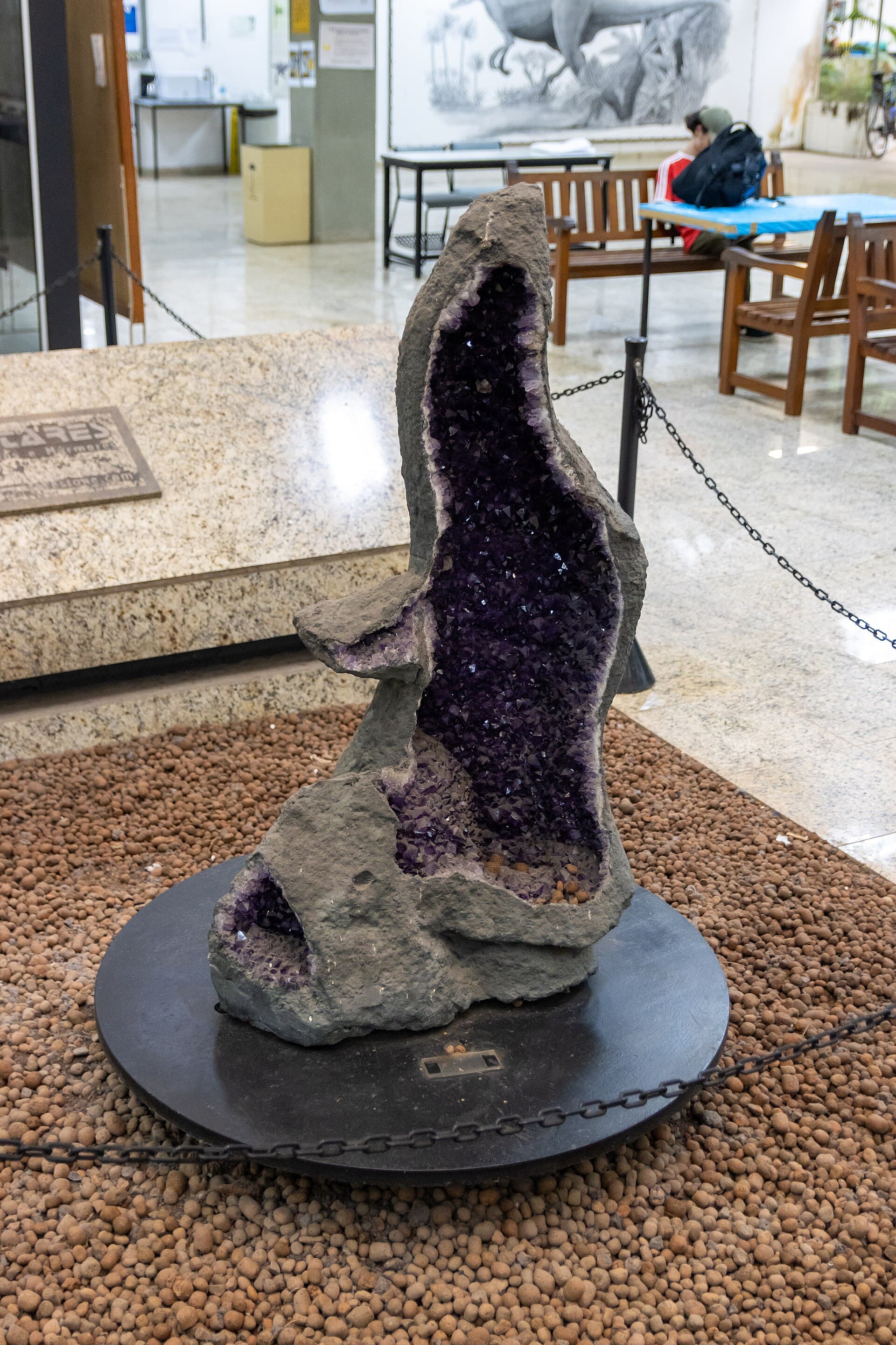 USP Geosciences Museum, São Paulo, São Paulo