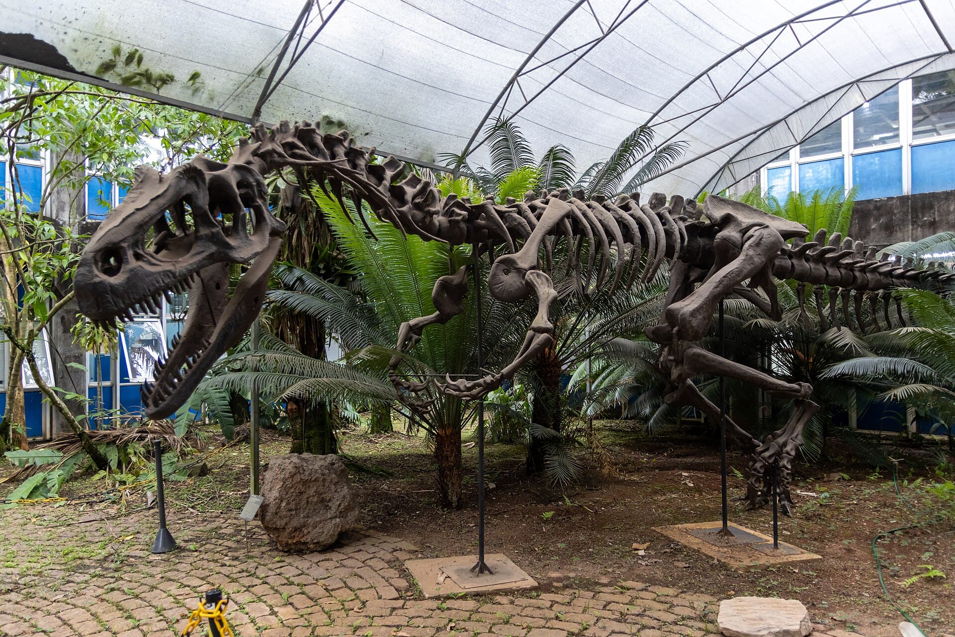 USP Geosciences Museum, São Paulo, São Paulo