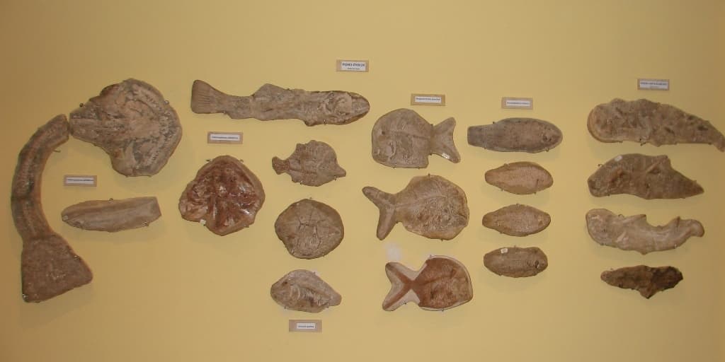 Plácido Cidade Nuvens Paleontology Museum, Santana do Cariri, Santana do Cariri