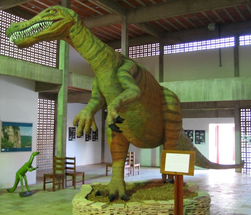 Plácido Cidade Nuvens Paleontology Museum, Santana do Cariri, Santana do Cariri