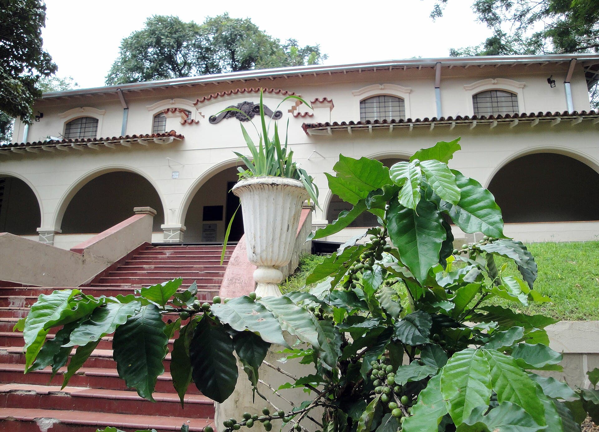 متحف القهوة فرانسيسكو شميت، ريبيراو بريتو