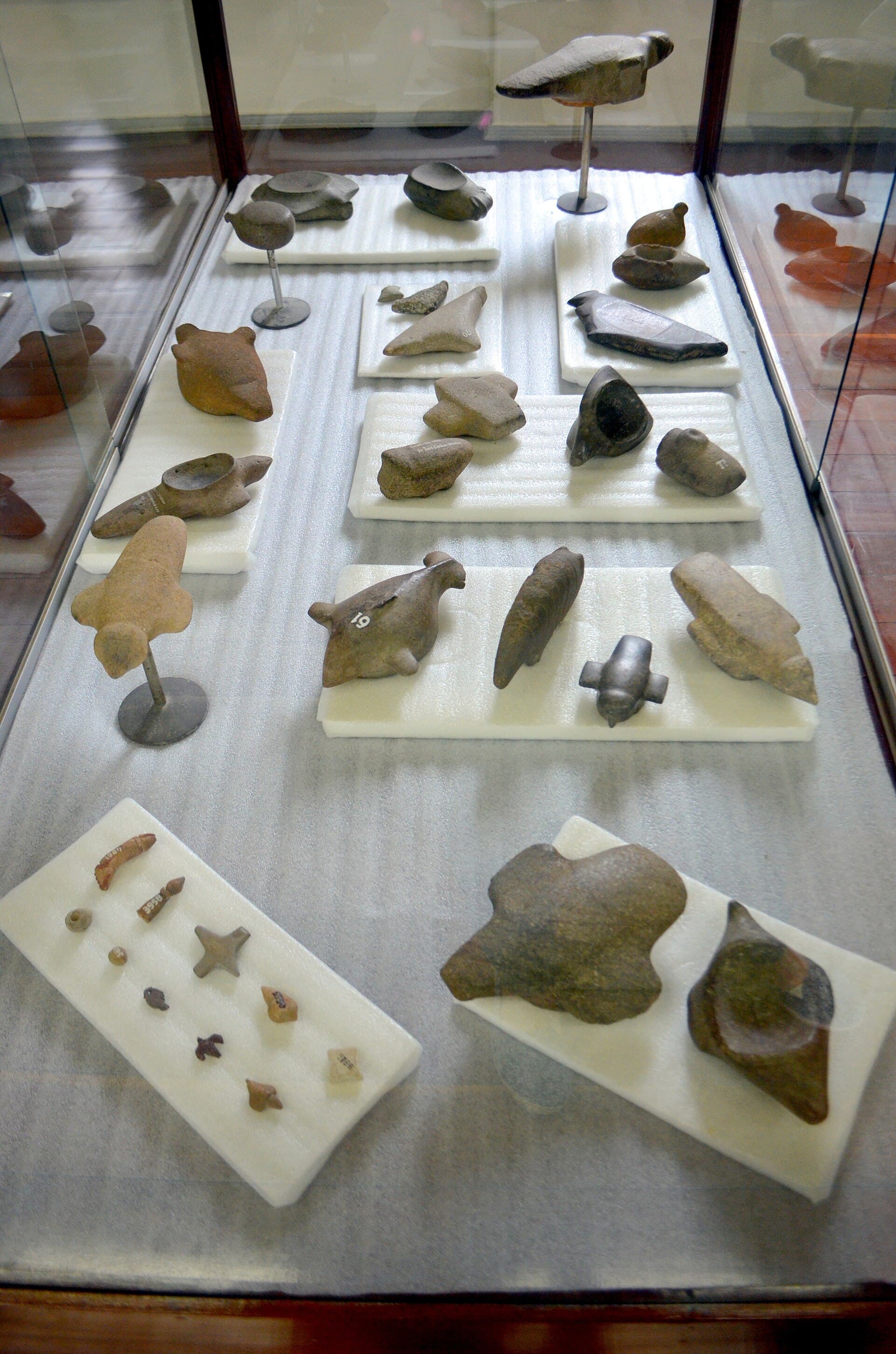 Museu do Homem do Sambaqui, Florianópolis