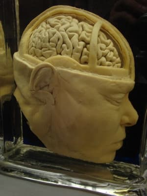 متحف ڤروليك، أمستردام
