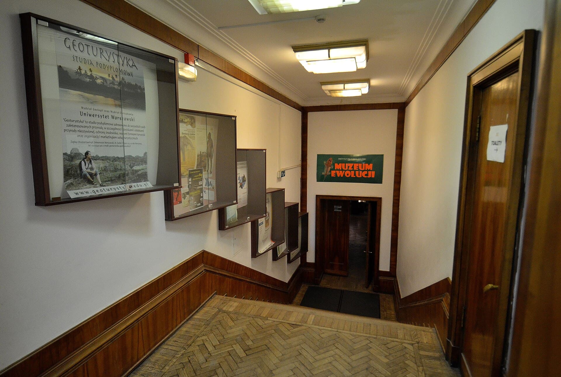The Museum of Evolution, Warsaw