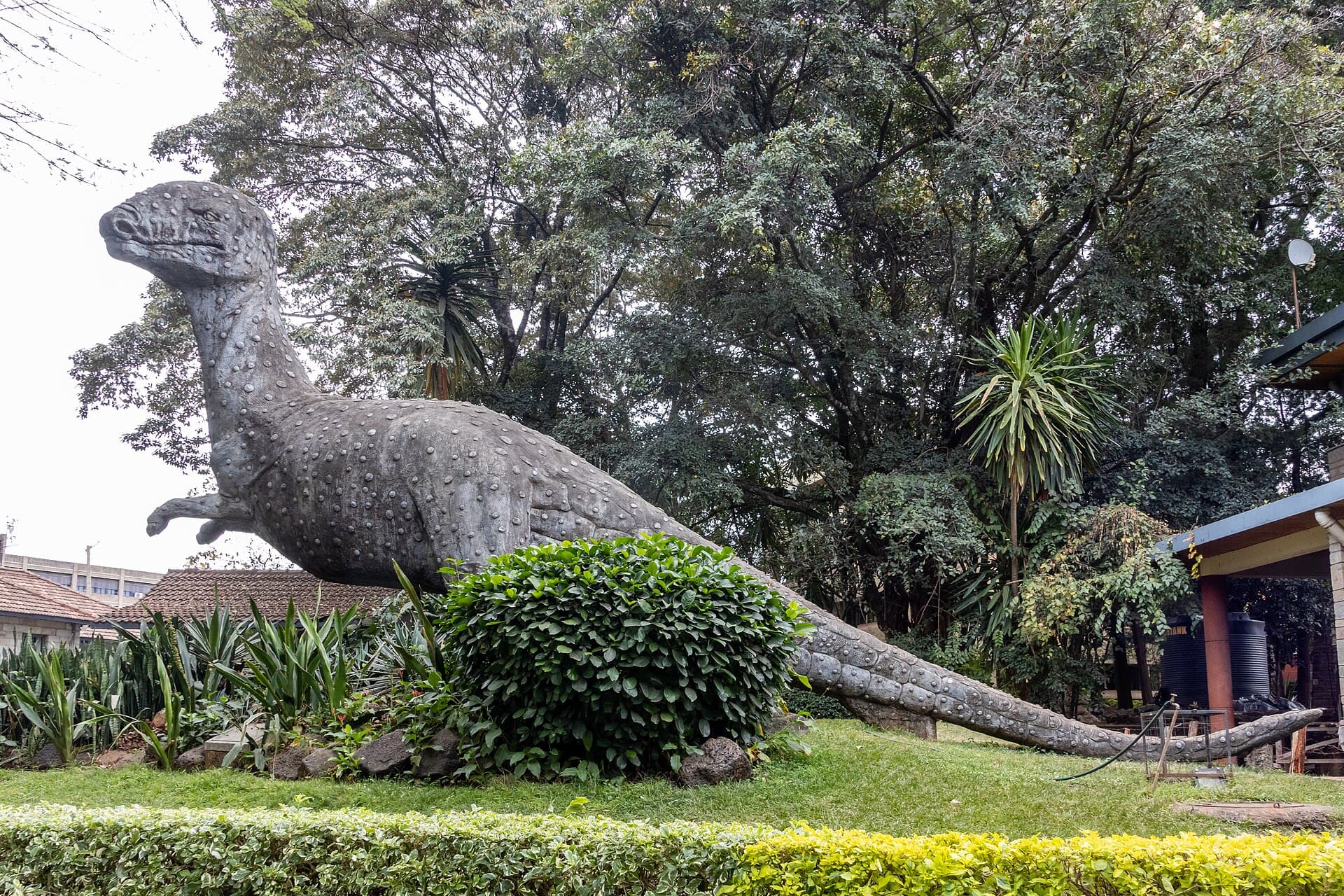Nairobi National Museum, Nairobi