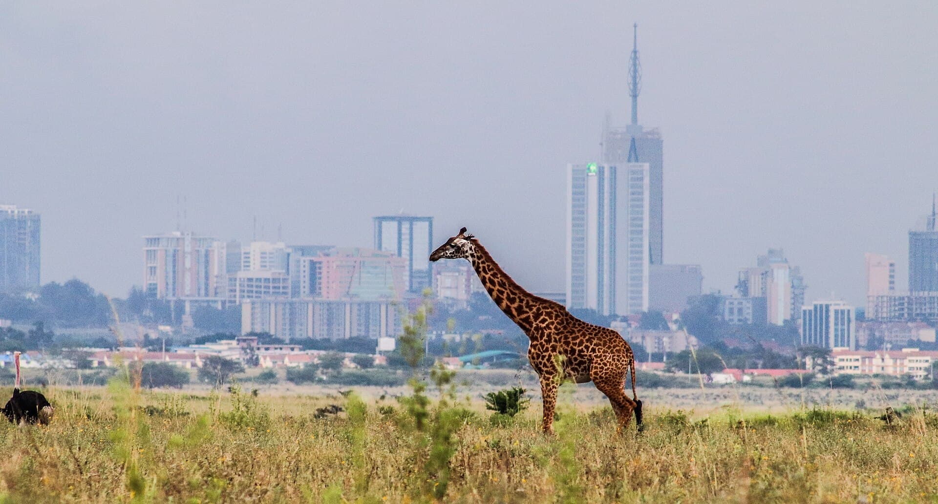 Nairobi National Park