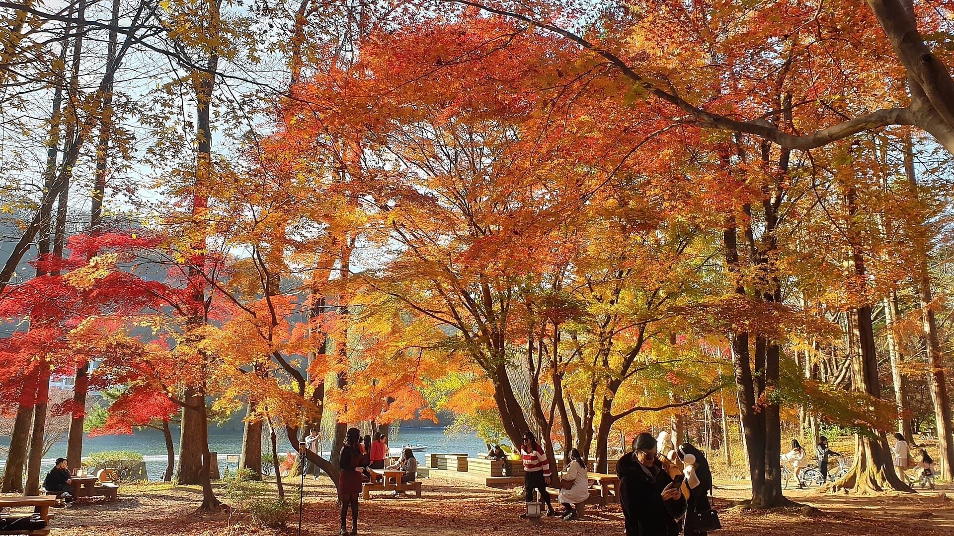 Nami Island, Gapyeong