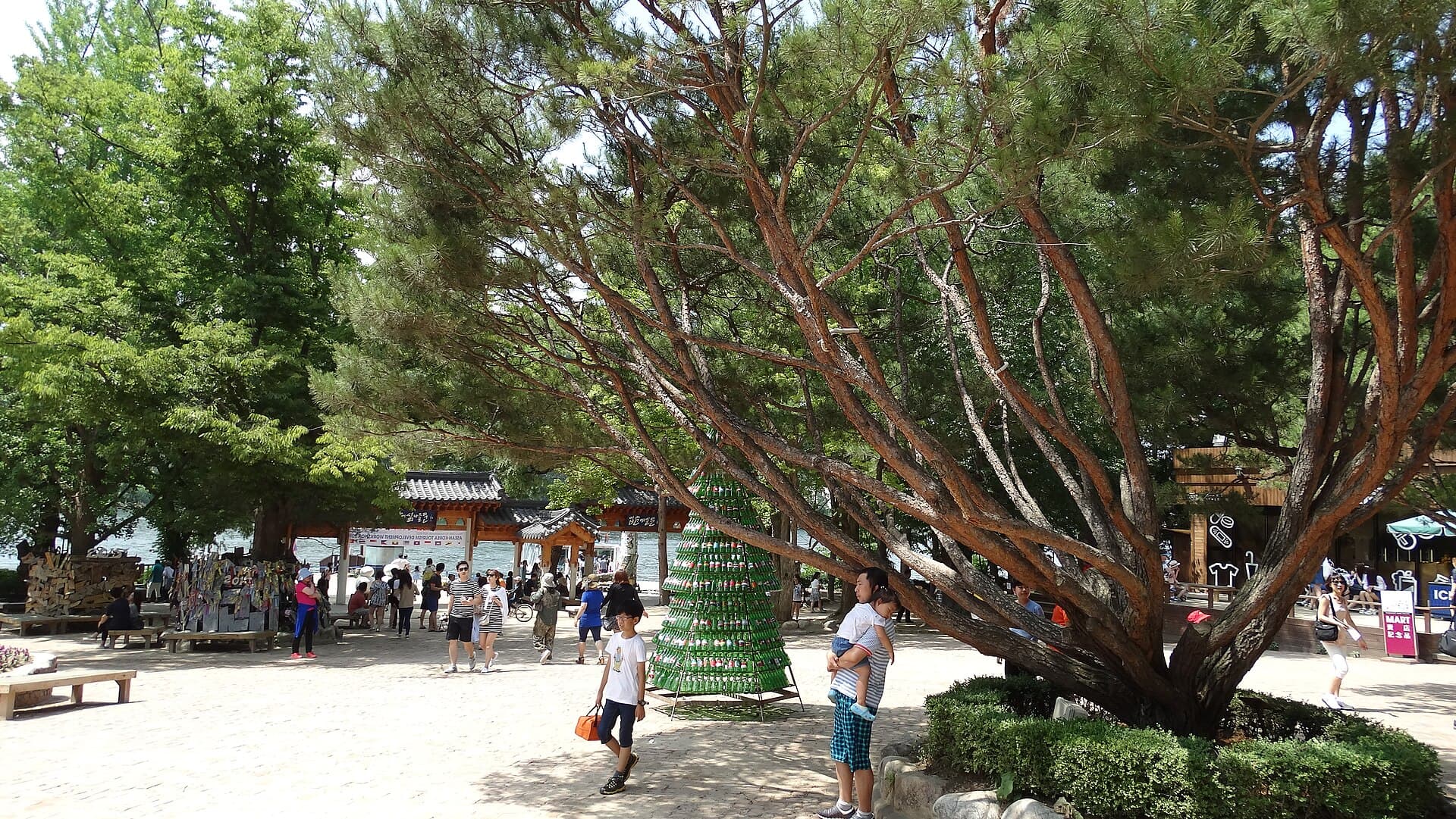 Nami Island, Gapyeong